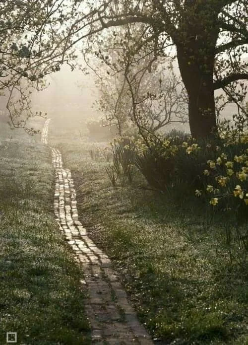 The Winding Road