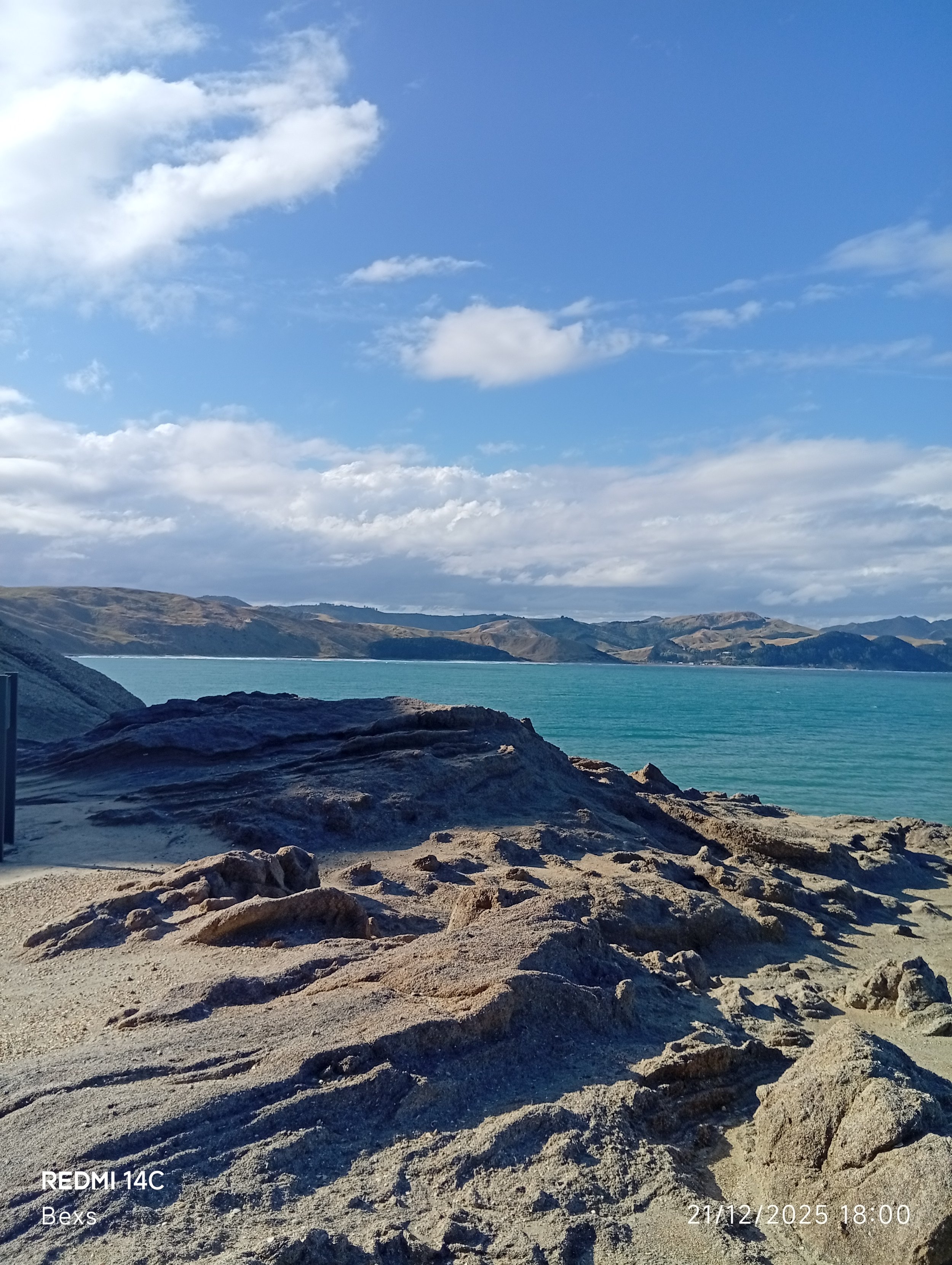 A Quiet Measure of Healing