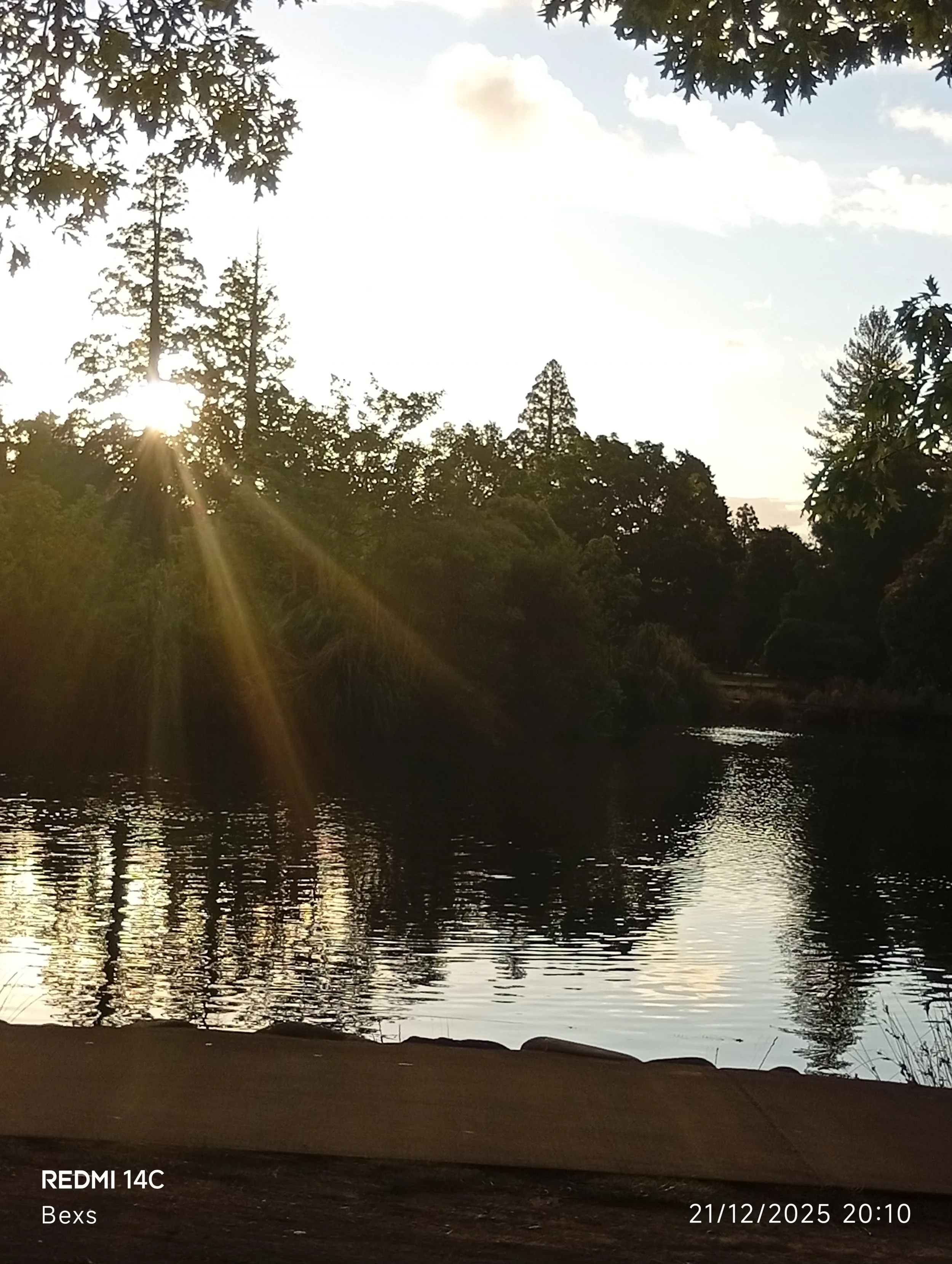 Returning to a Place That Once Held My Pain