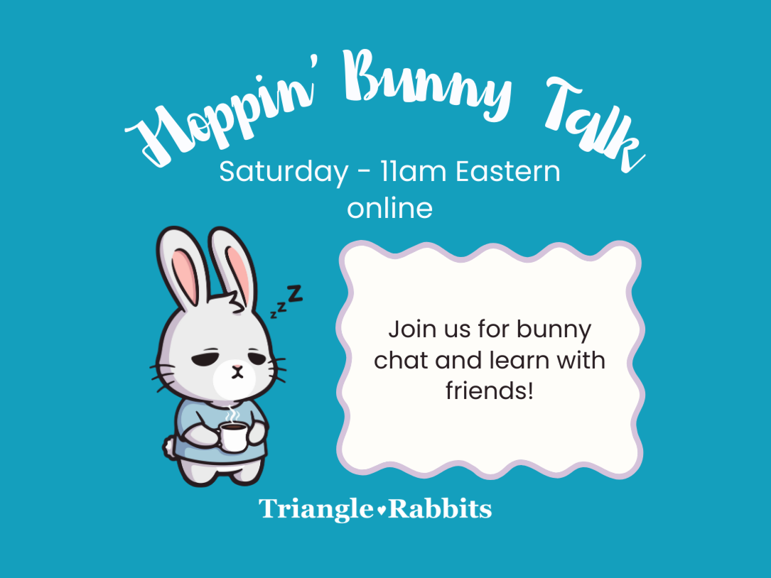 Hoppin' Bunny Talk