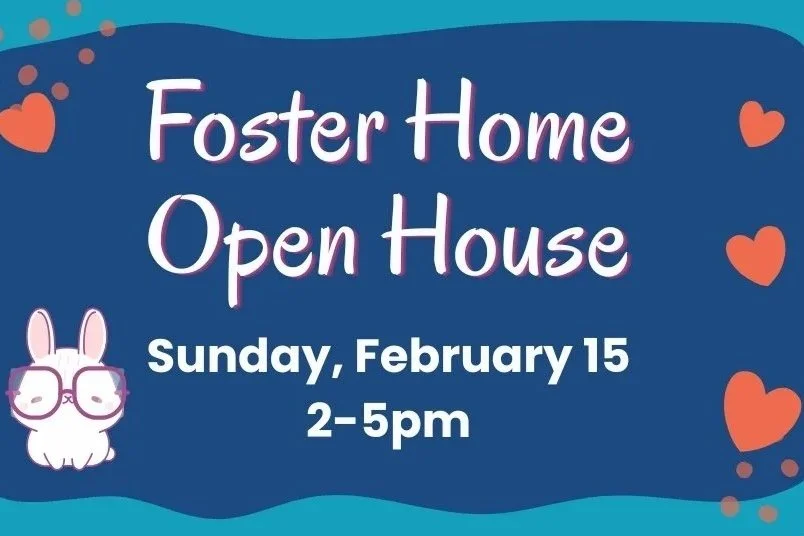 Foster Home Open House