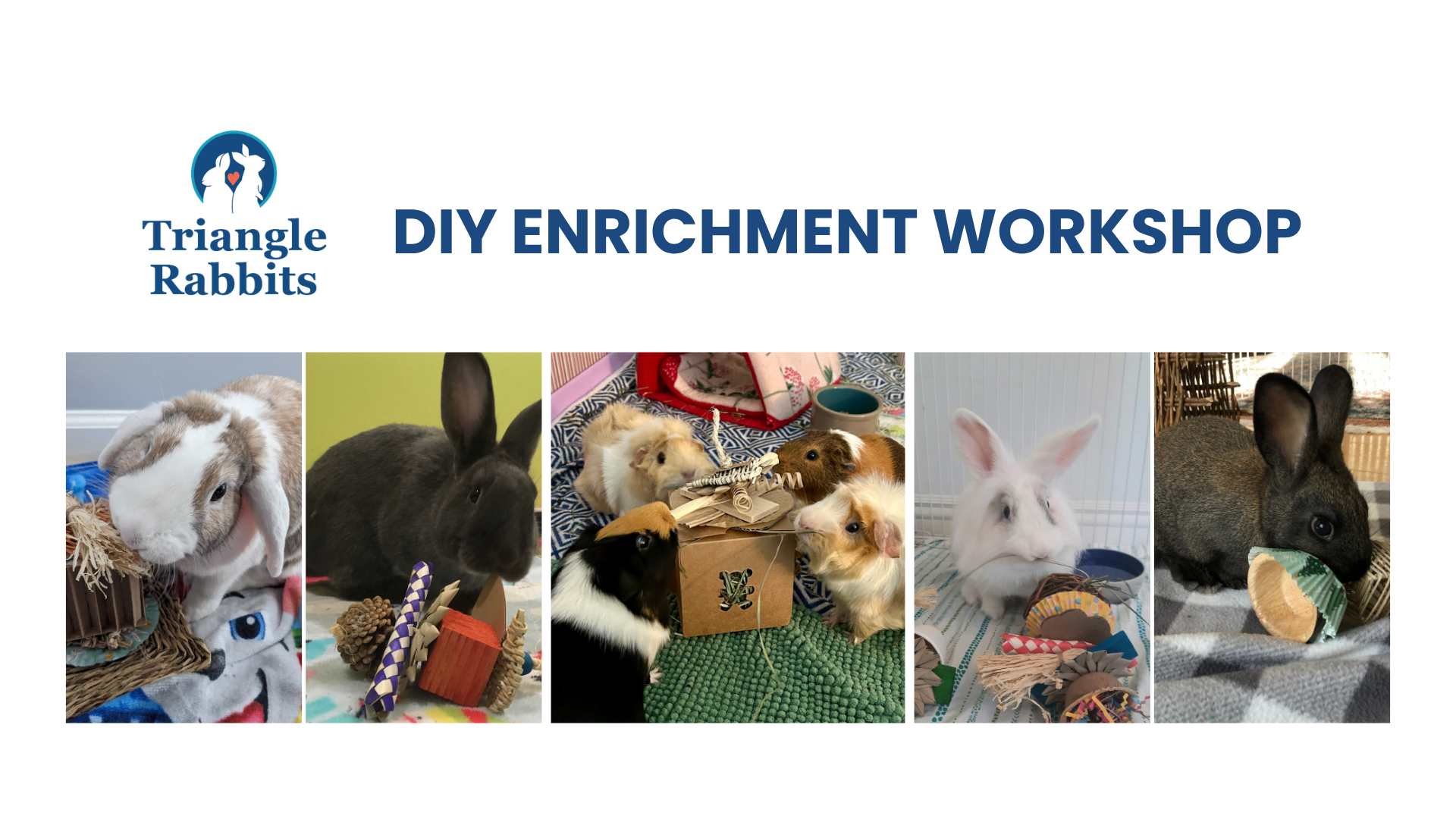 DIY Enrichment Class
