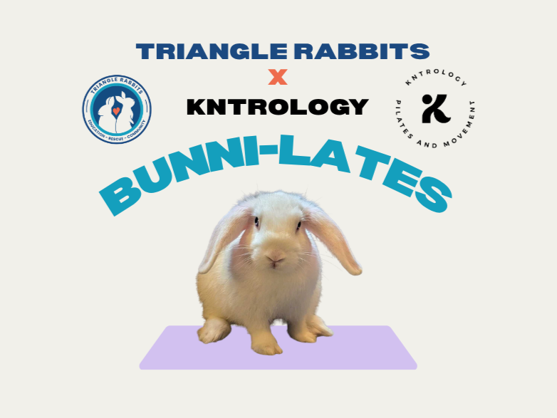 Bunni-lates with Kntrology