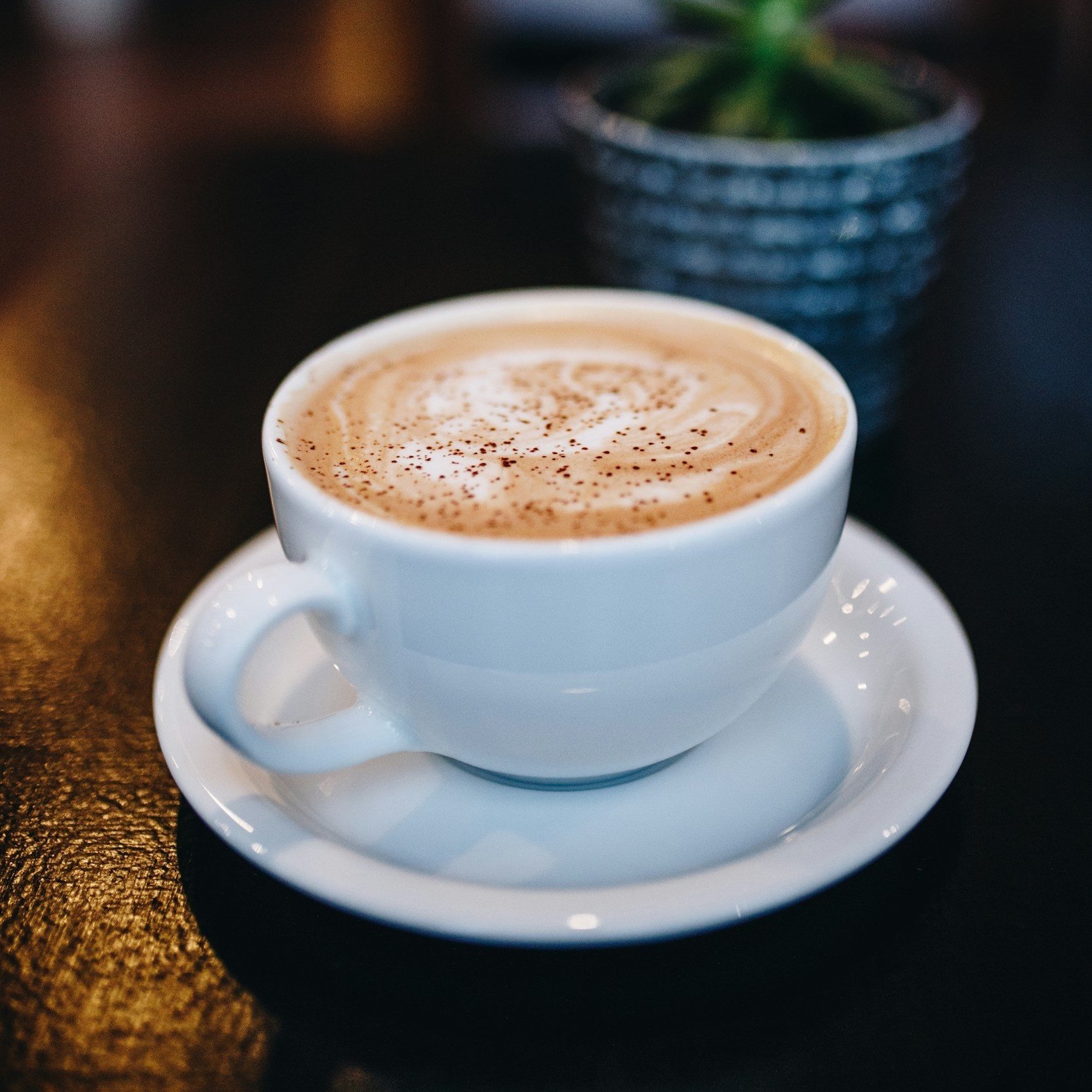 A white ceramic cup filled with frothy cappuccino topped with cocoa powder, sitting on a matching saucer on a dark wooden table, with a small potted plant in the background.