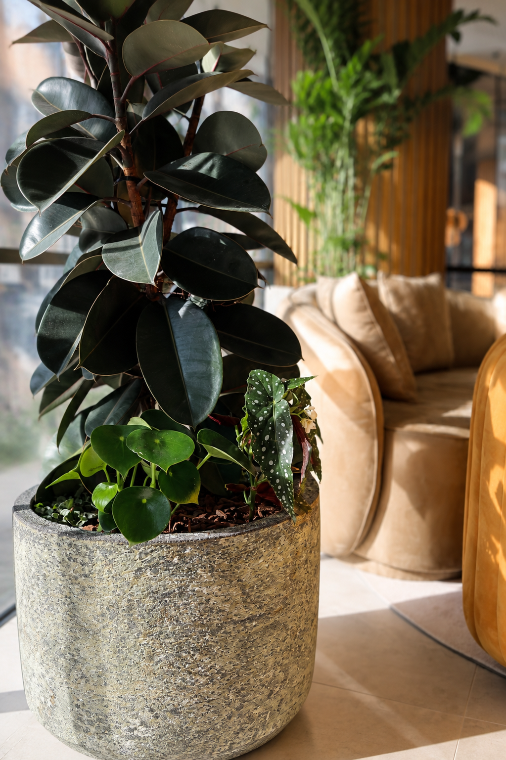 Indoor potted plants on beige tiled floor with beige sofa and window in background.