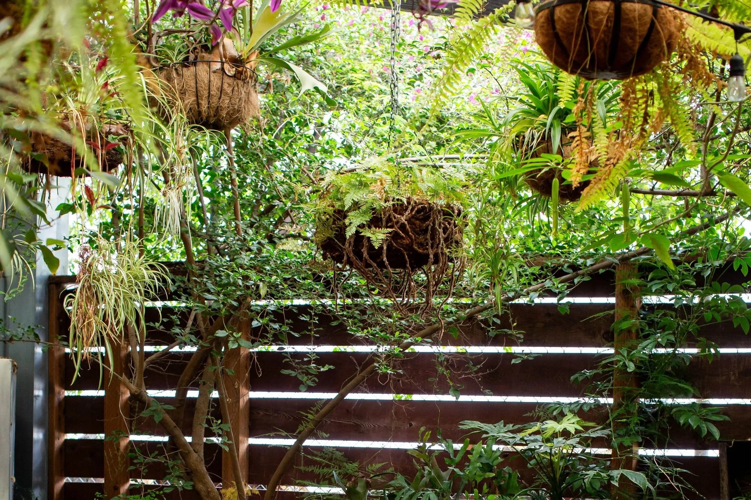 Stable Cafe | Must Try Restaurants and Bars in The Mission in San Francisco