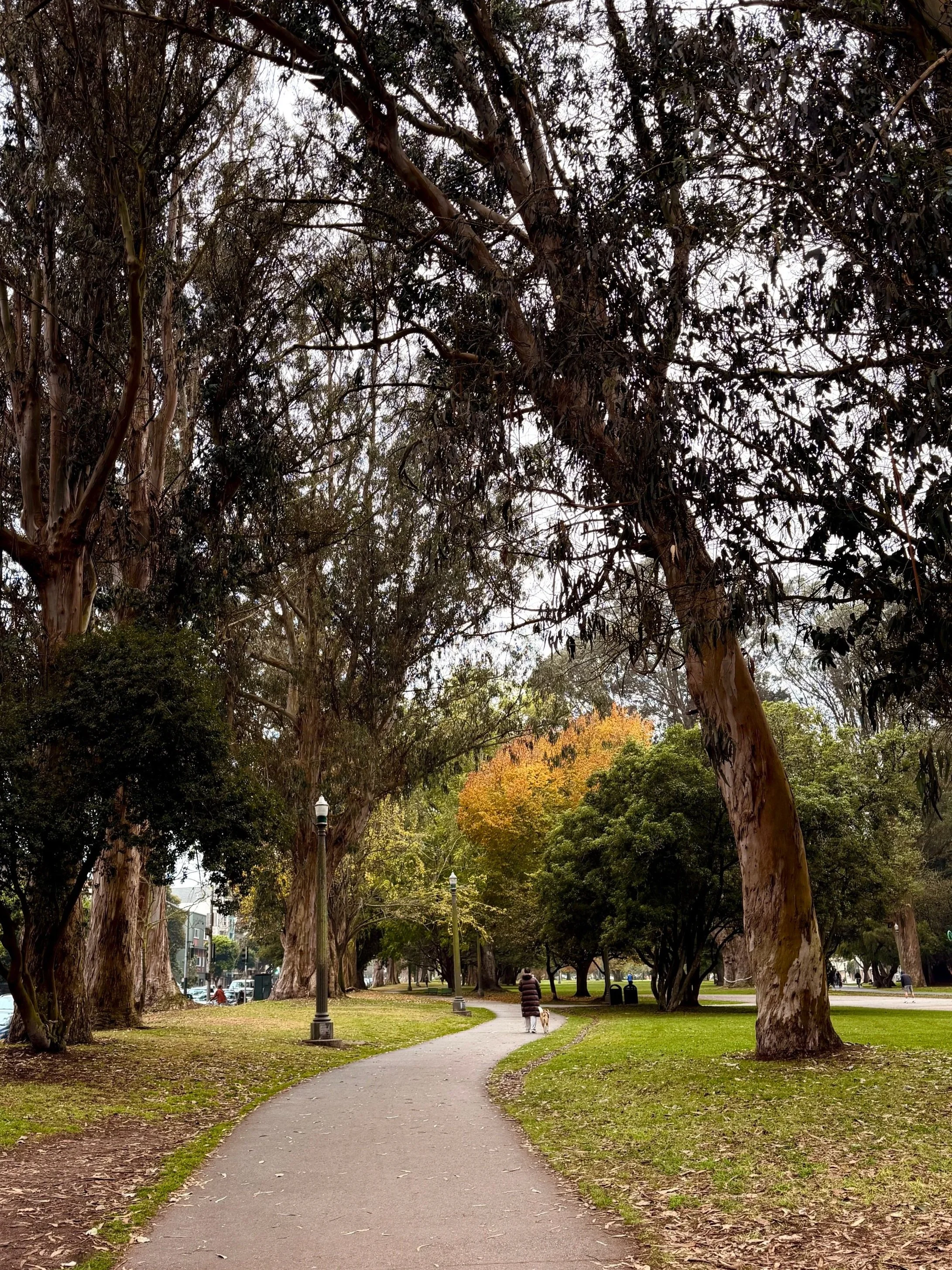 The Panhandle | Must Try Restaurants and Bars in San Francisco's Nopa