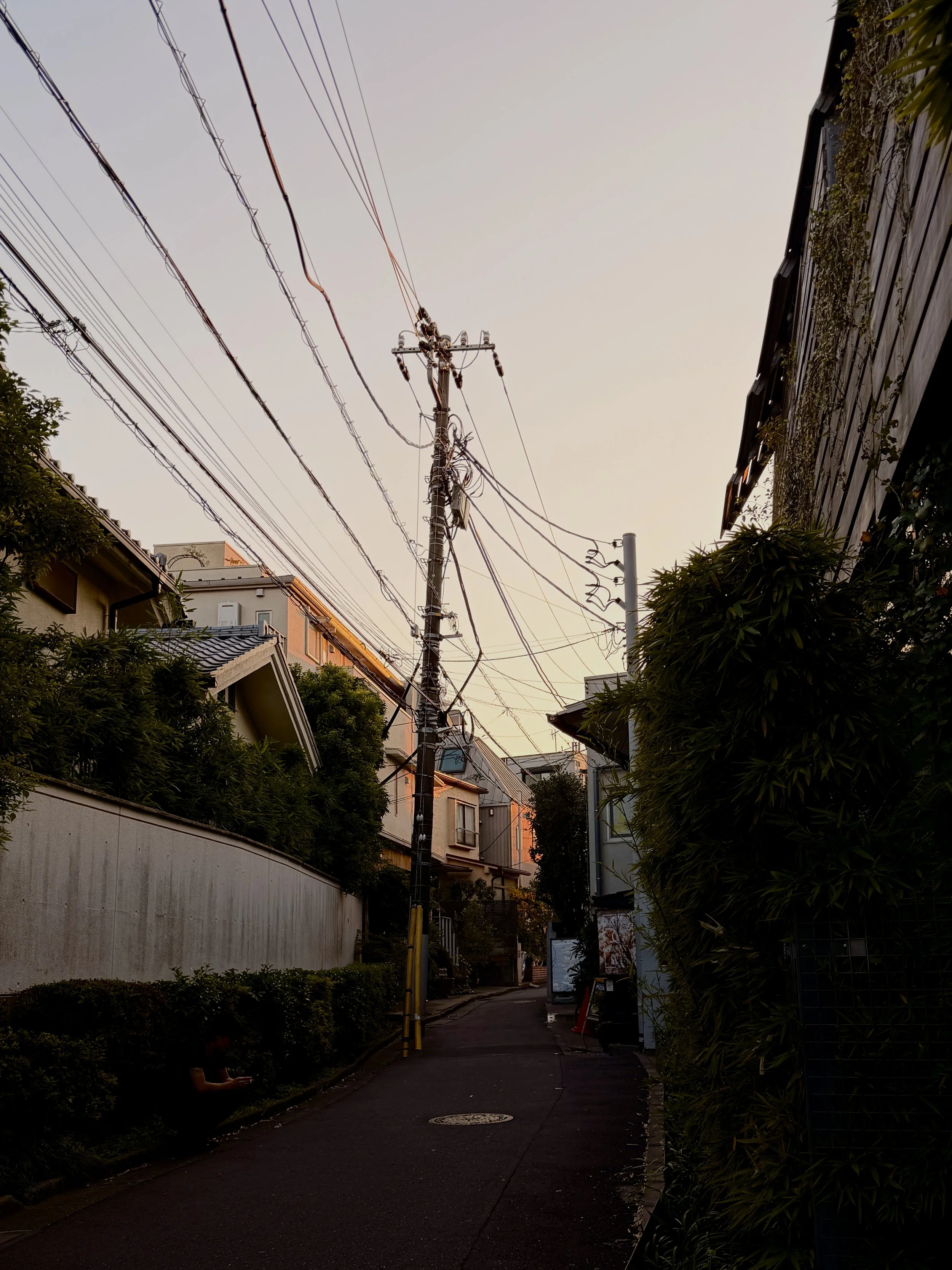 Shibuya Sunset | Must Try Restaurants and Bars in Tokyo