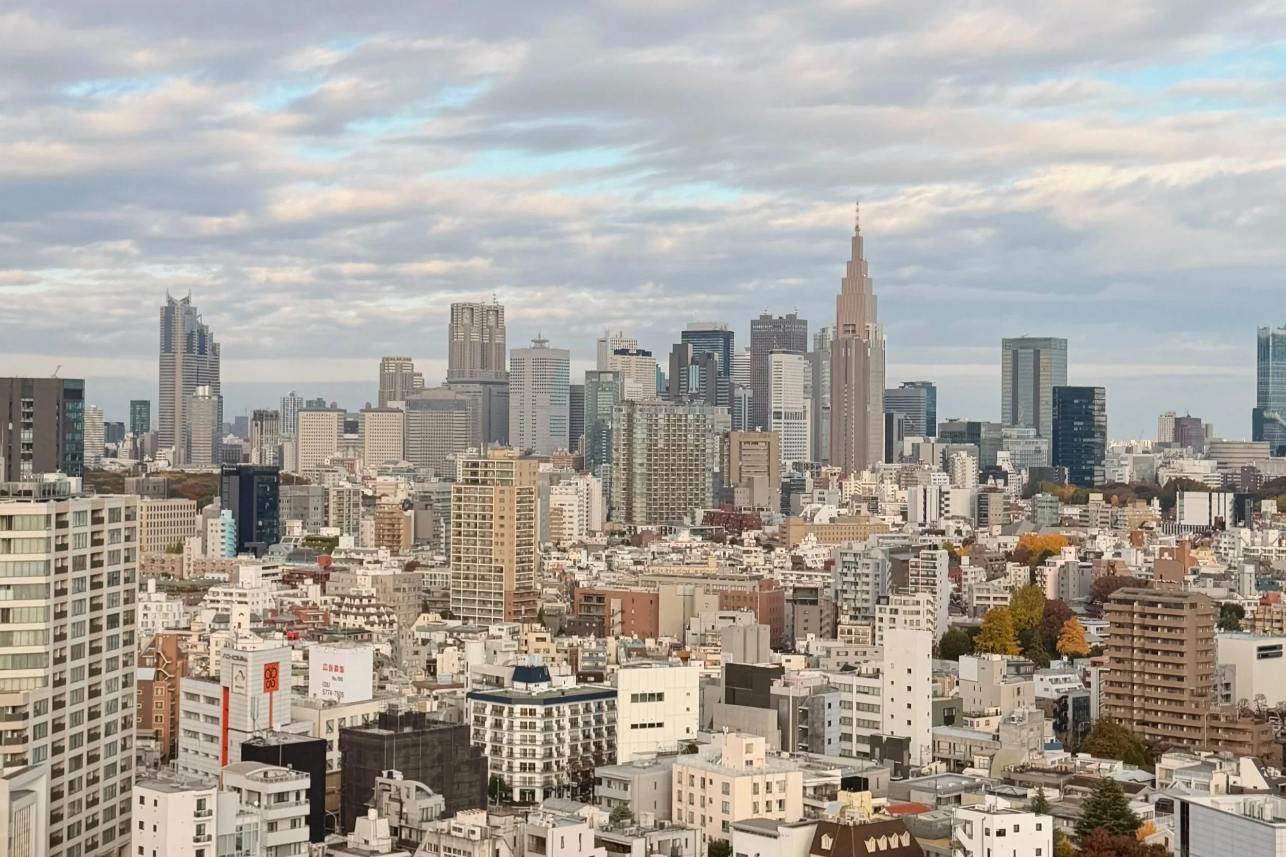 Tokyo Skyline | Must Try Restaurants and Bars in Tokyo