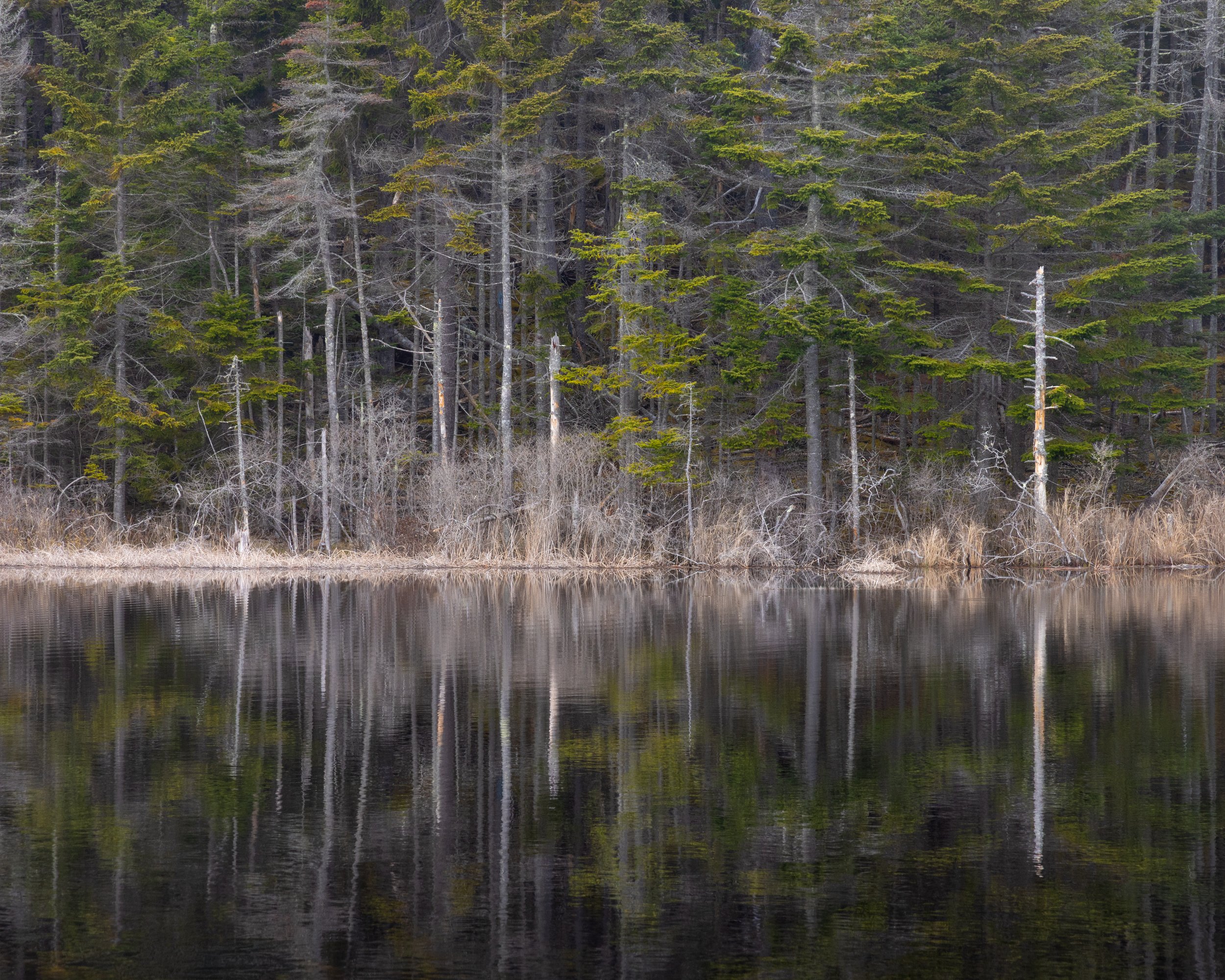 _88A7022-Edit-Edit.jpg
