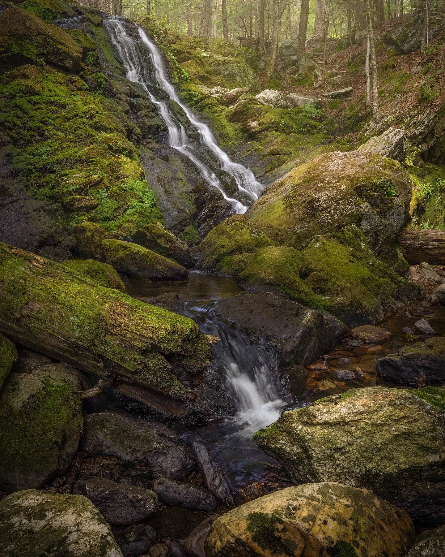 I visited Carpenter Falls on a dry day, and it was a shadow of its springtime self. The waterfall's usually a two-sided spectacle, but this time it was calm and serene. I had to wait for a cloud to pass to capture this shot without harsh highlights.