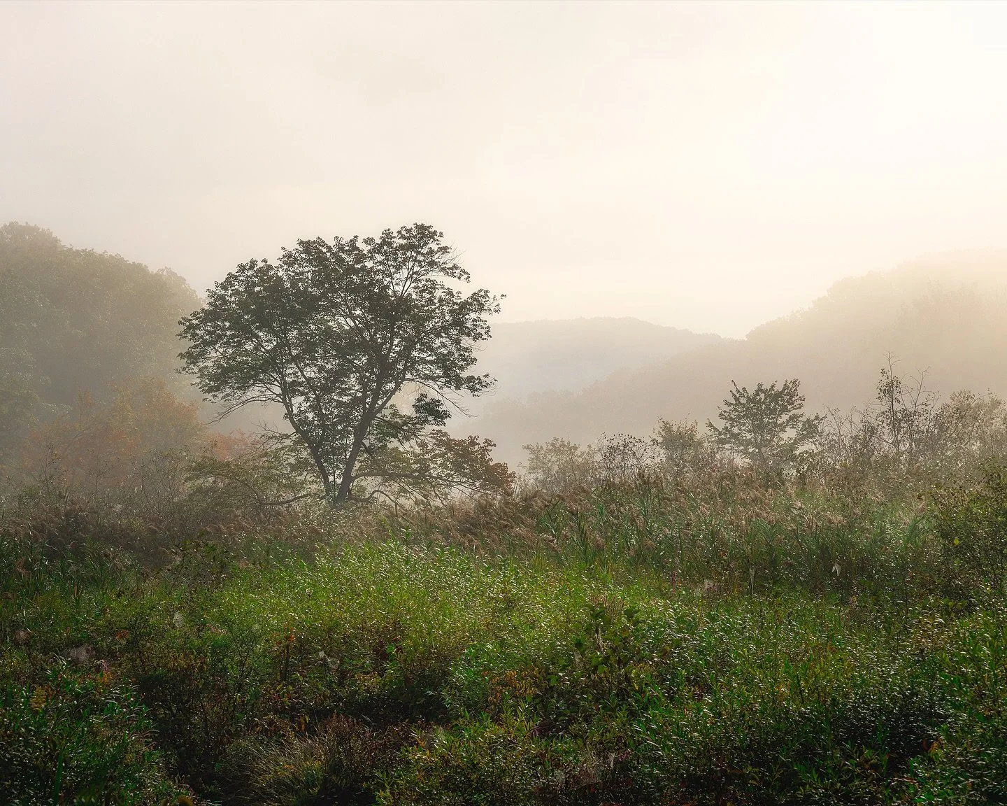 My Tuesday morning drive to camera club. As Fall begins to set in and morning fog is more present with the extreme temperatures swings from the mid-40s to the high-70s, it’s a great time to be alive in northwestern Connecticut. West Cornwall Ro