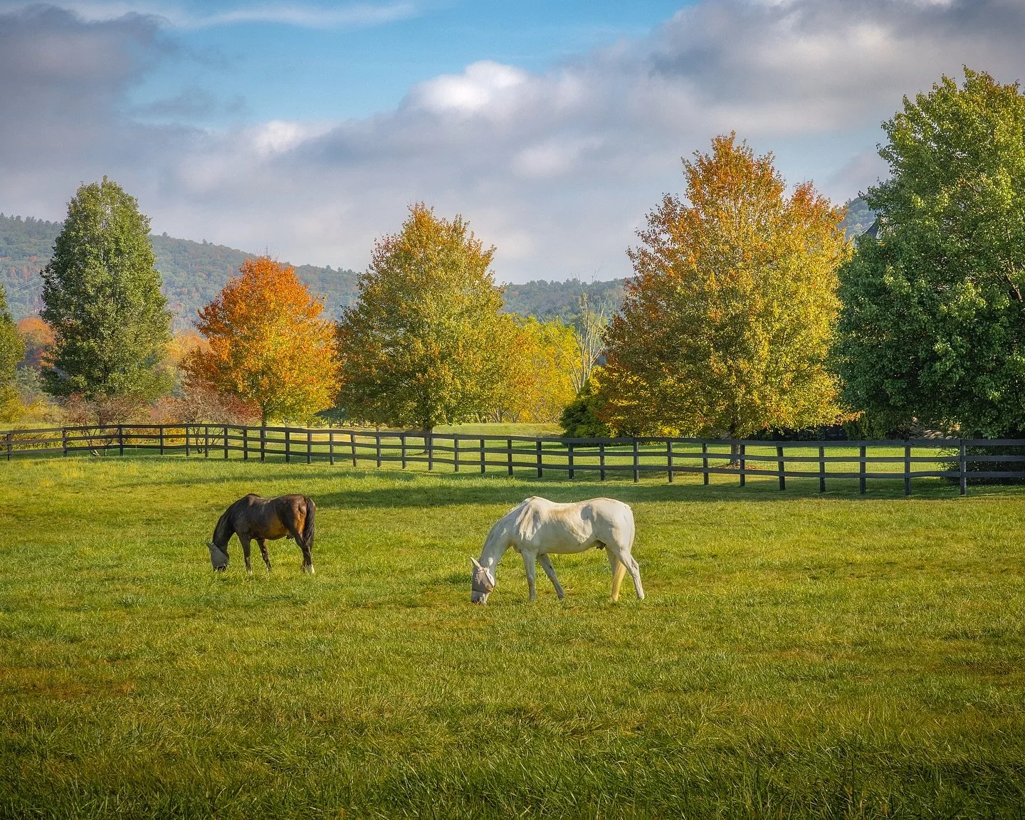 A quiet relaxing midmorning Autumn drive through Sharon was exactly what I needed yesterday. As we approach peak in the area, we only have so many days left to capture the colors of Fall. Unfortunately over the last month, we’ve had mostly blue