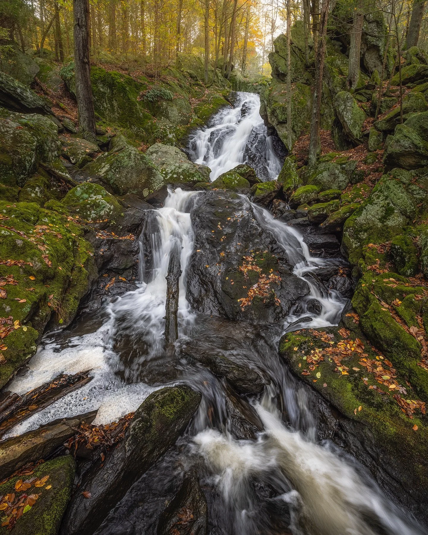 The Buttermilk Falls section of the Mattatuck Trail is perhaps one of the most stunning places in the state of Connecticut. Surprisingly, through all of my research, this place was never in my sights. I only found it through a friend of friend. Since