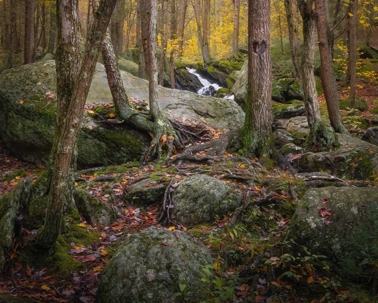 Some more compositions from my visit to Buttermilk Falls a few weeks ago (3 posts back). It’s really amazing the amount of compositions I was able to find in just 3-4 hours at the location. And still so many more to find. What a great little se