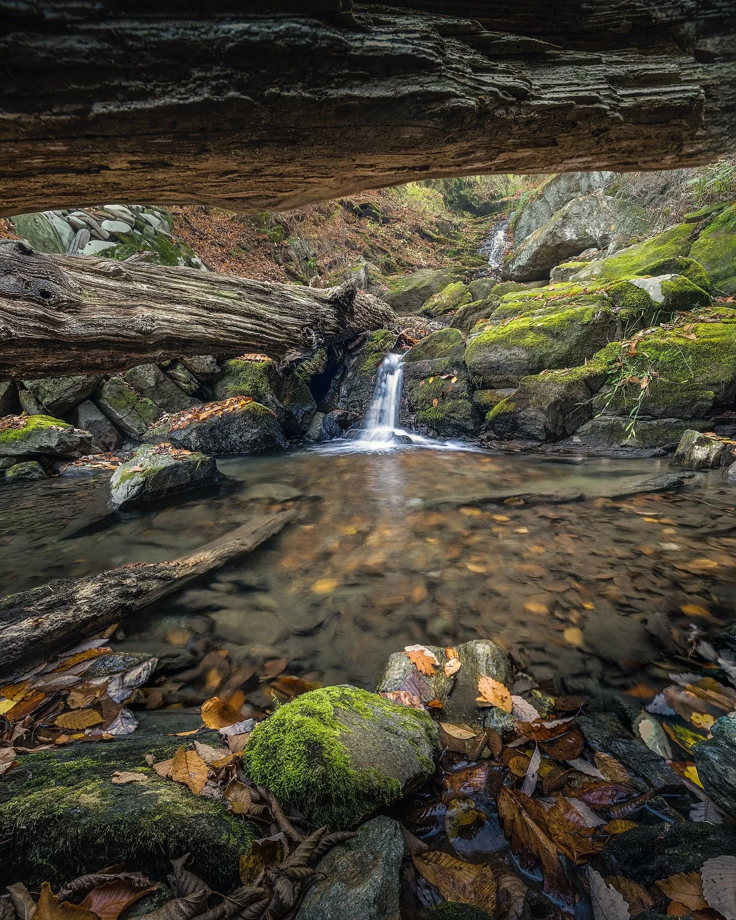 Where do you stand on sharing locations? I will say that generally I&rsquo;m pretty open. I don&rsquo;t feel the need to gatekeep locations on public land as they are there for everyone. I hope and pray people will respect the land, though sadly that