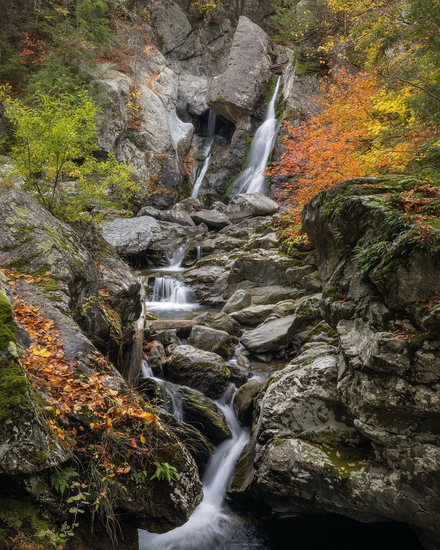 What&rsquo;s your favorite season? Right now, it&rsquo;s goodbye to Autumn in the North East. I hate to see the last of the leaves, but that&rsquo;s why we love it so much each year when they return. I personally can&rsquo;t wait for my other favorit