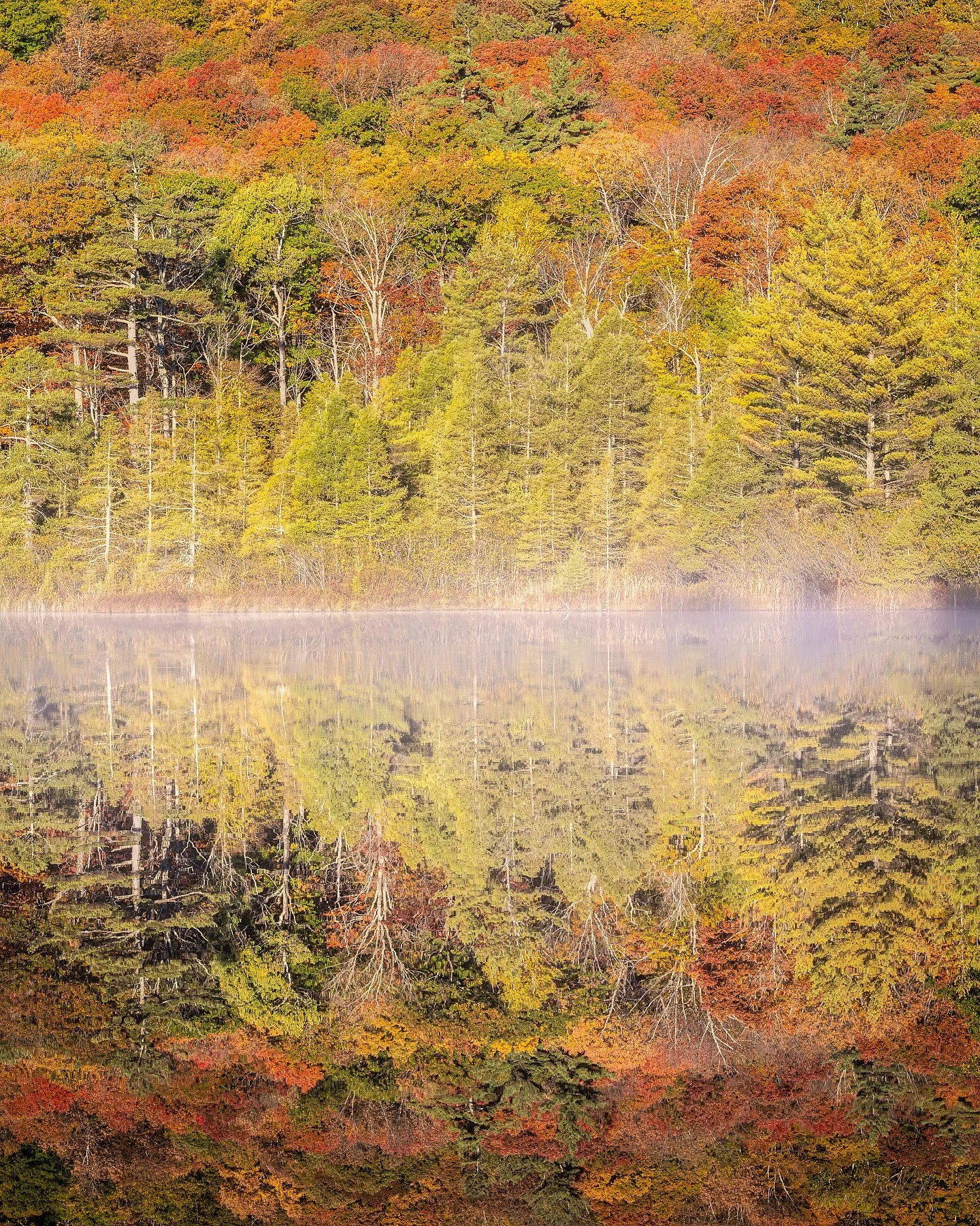 One final goodbye to Fall as we spent most of the day in freezing temperatures and our first flurry of the year fell for a few hours.

Love you. See you next year.

#canonphotography #teamcanon #canoneosr #kasefilters  #photooftheday #landscape #natu