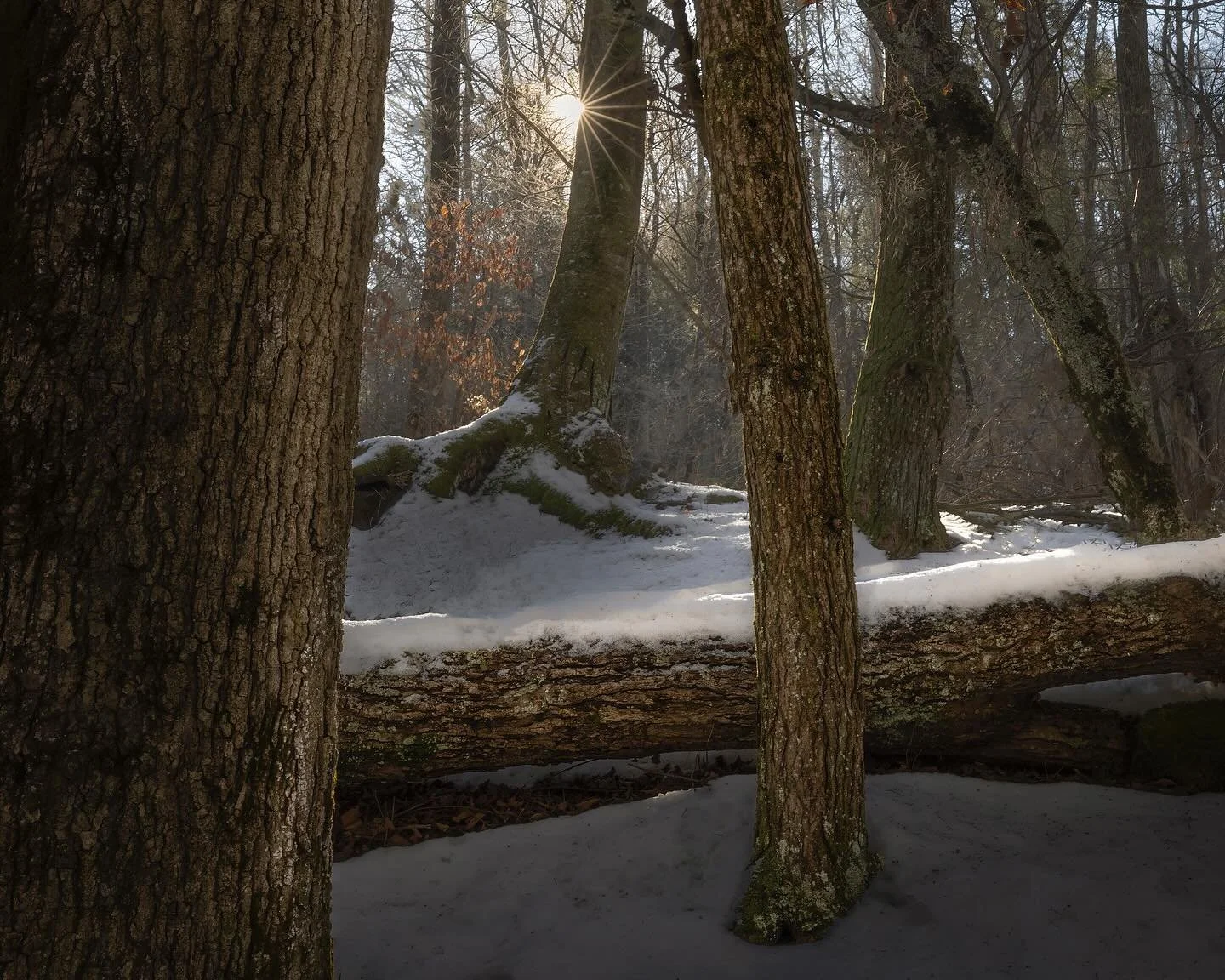 A frozen Dean Ravine. Things froze really quickly this year with all the low temp days in December. I don&rsquo;t normally love shooting fully frozen waterfalls because, while cool to look at, they lose their dynamism and movement. But it was a cool 