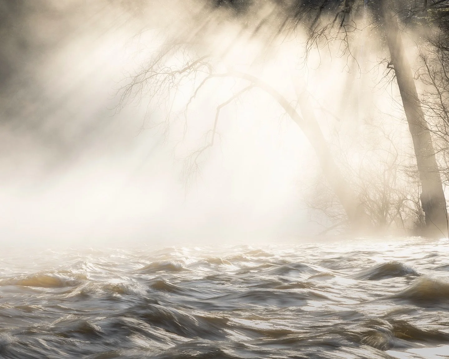 Nothing and Everything. With all the snow melt that has occurred over the last week, the Housatonic is both at potential flood levels and is moving. After a quick rain, the river fog went into action and I chased it down the road trying to get a comp