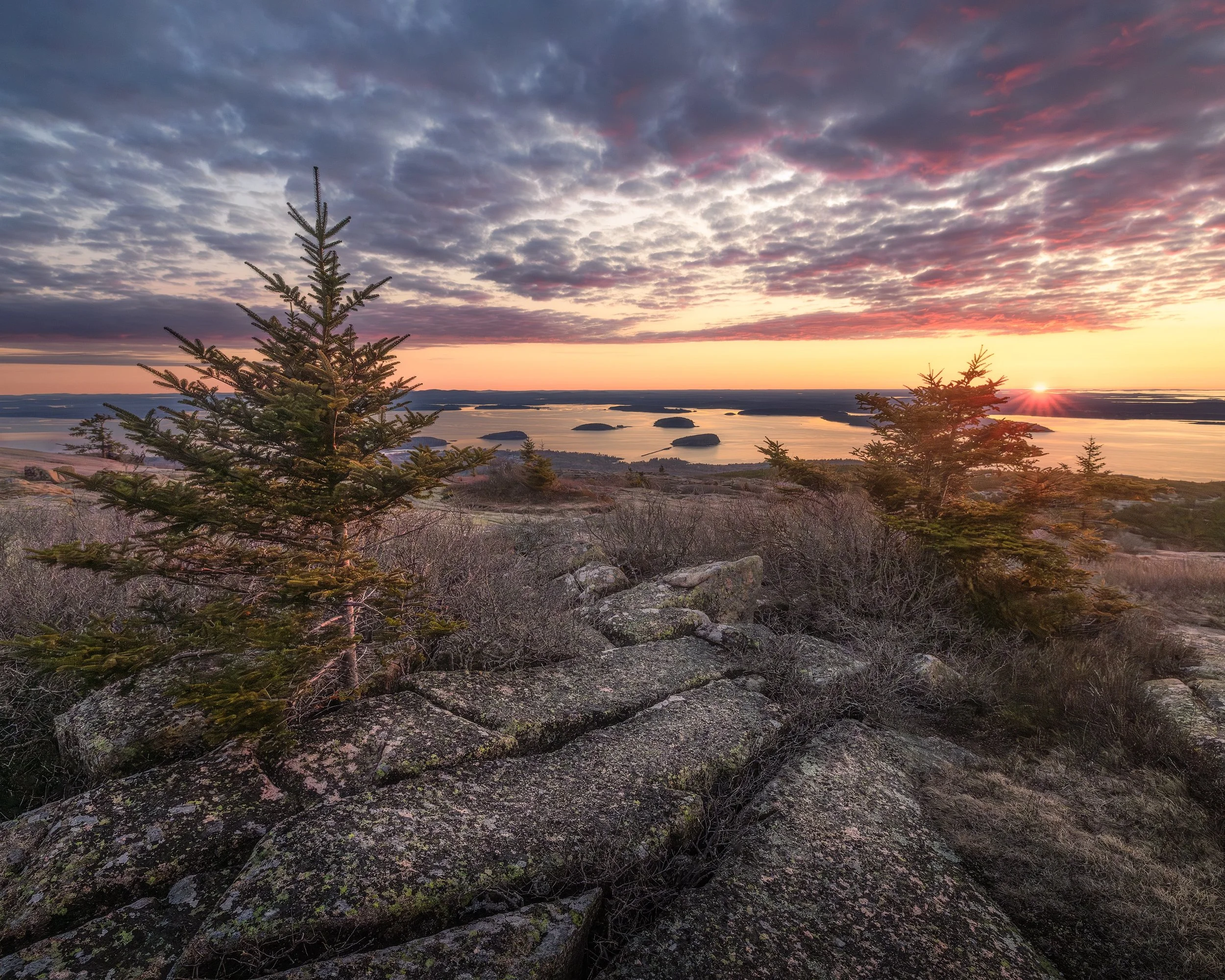 Cadillac Mountain is a champ for a reason. Normally, in moments like these, you find yourself surrounded by hundreds of people wanting to enjoy the same thing. But we, by chance, timed it perfectly that the park was almost fully open, short of the Fa