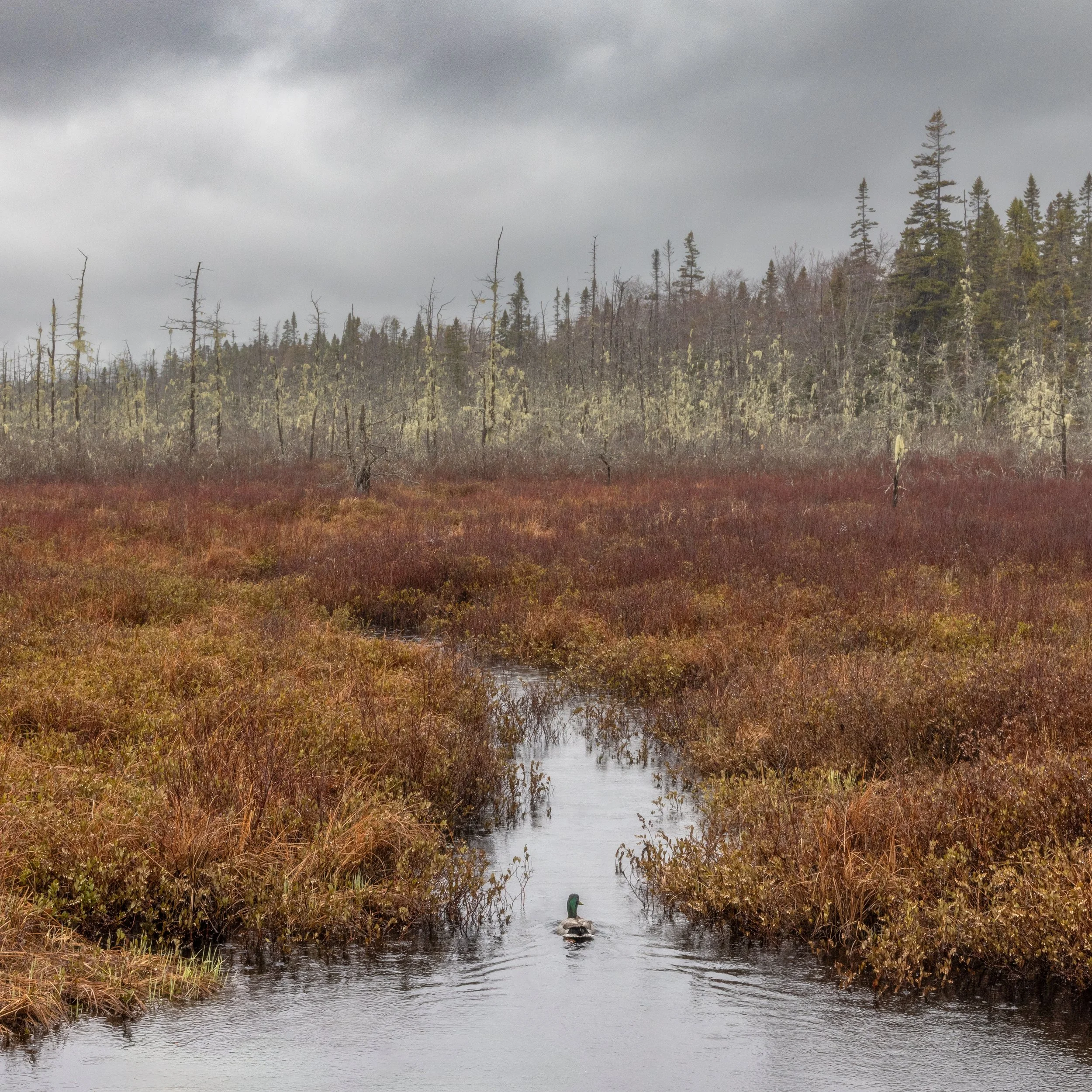 _88A6548-Edit.jpg