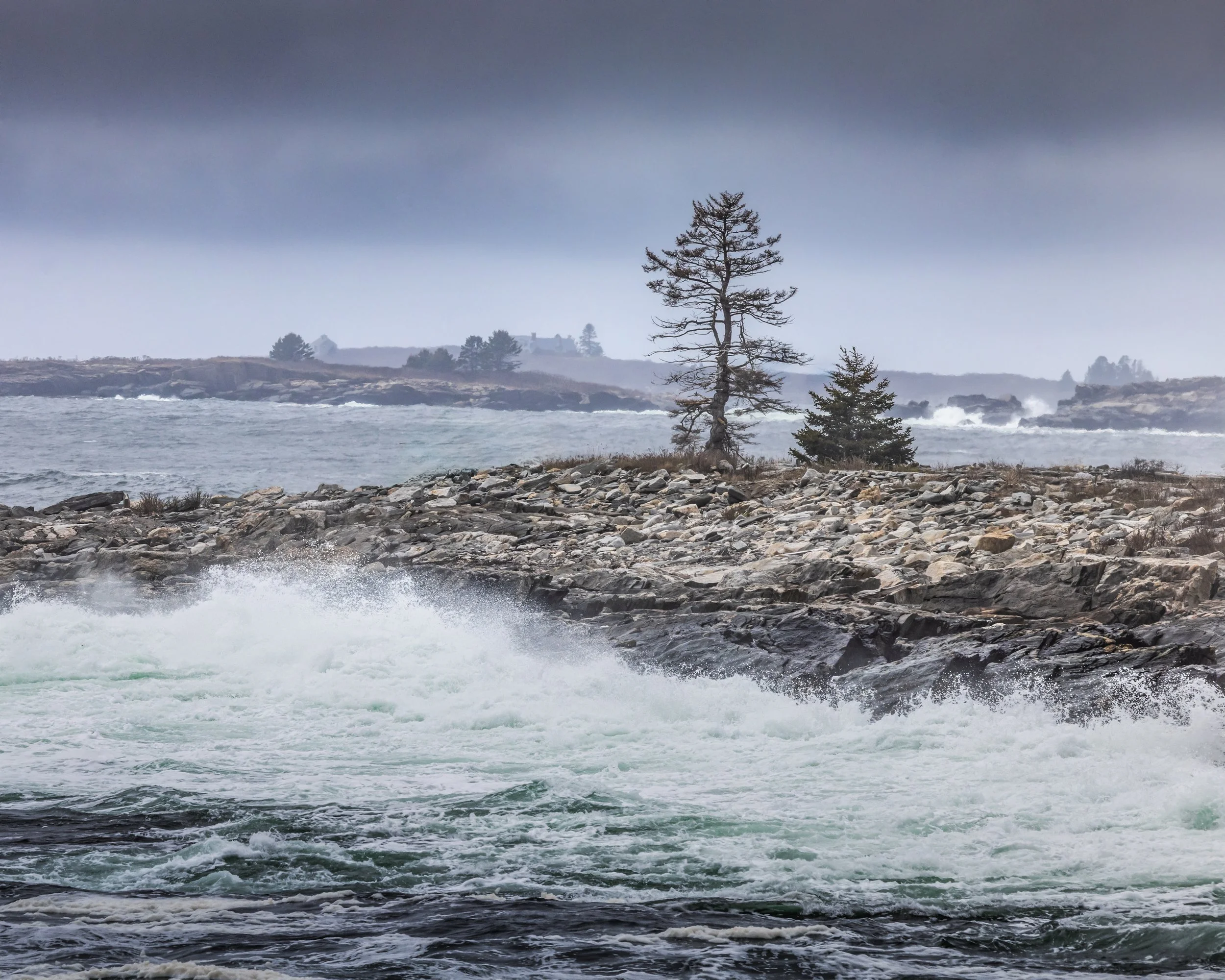 _88A5195-Edit-Edit.jpg