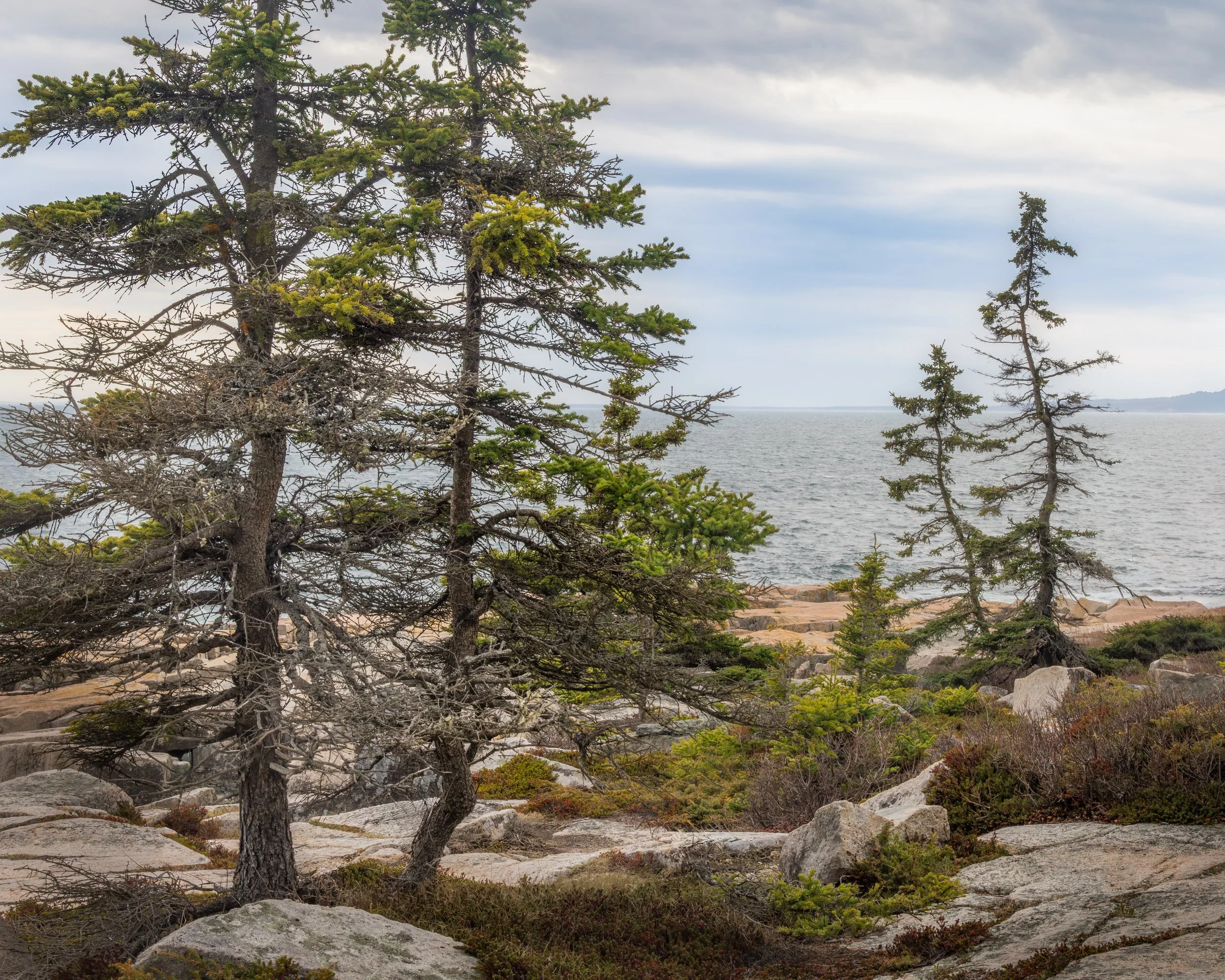 _88A7006-Edit-Edit.jpg