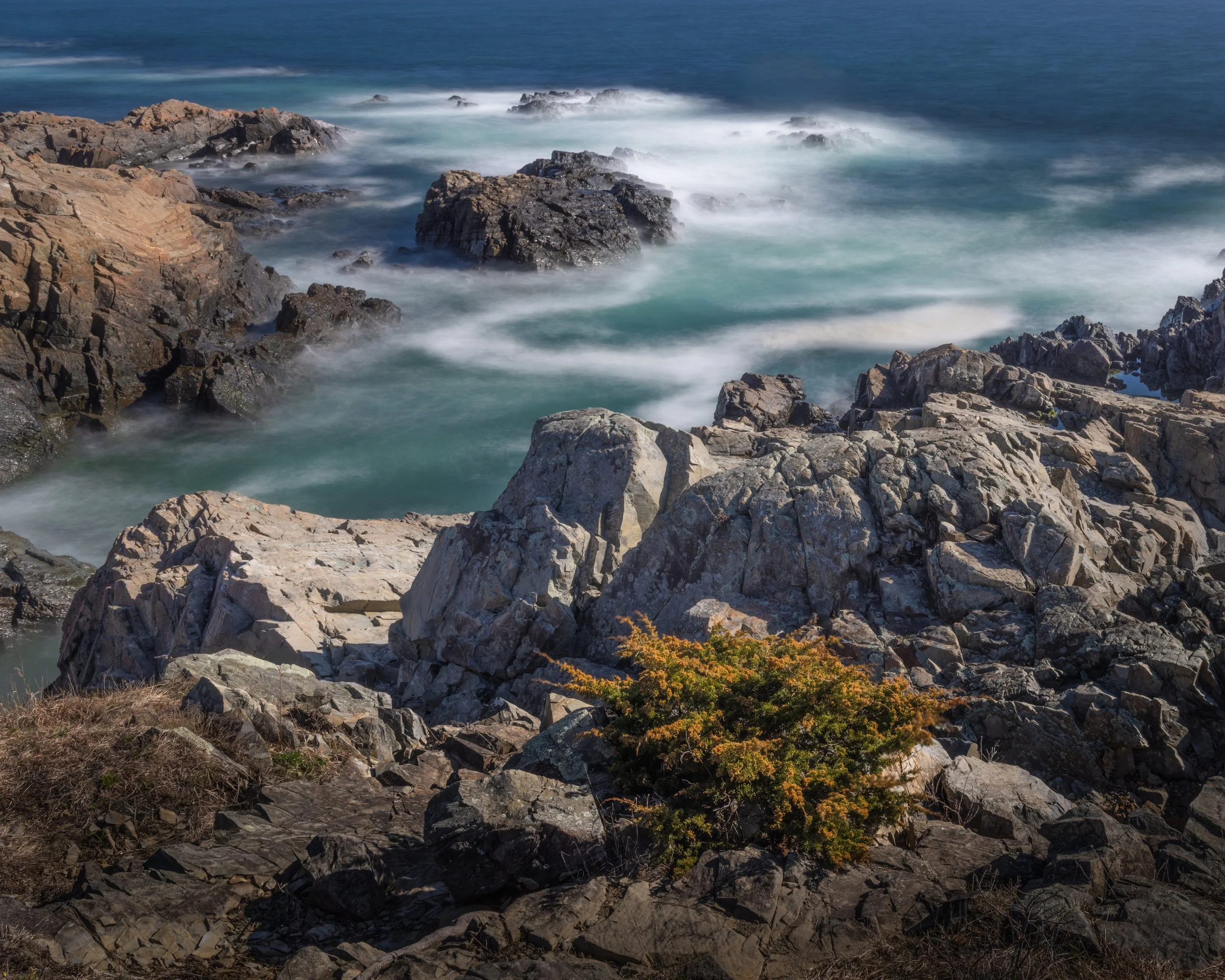 _88A4837-Edit.jpg