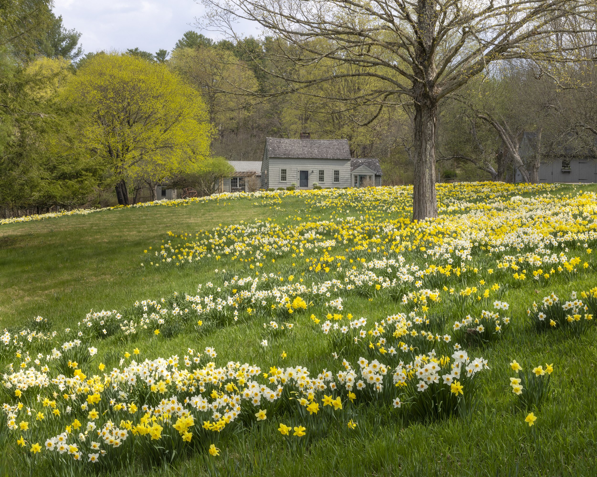 Spring