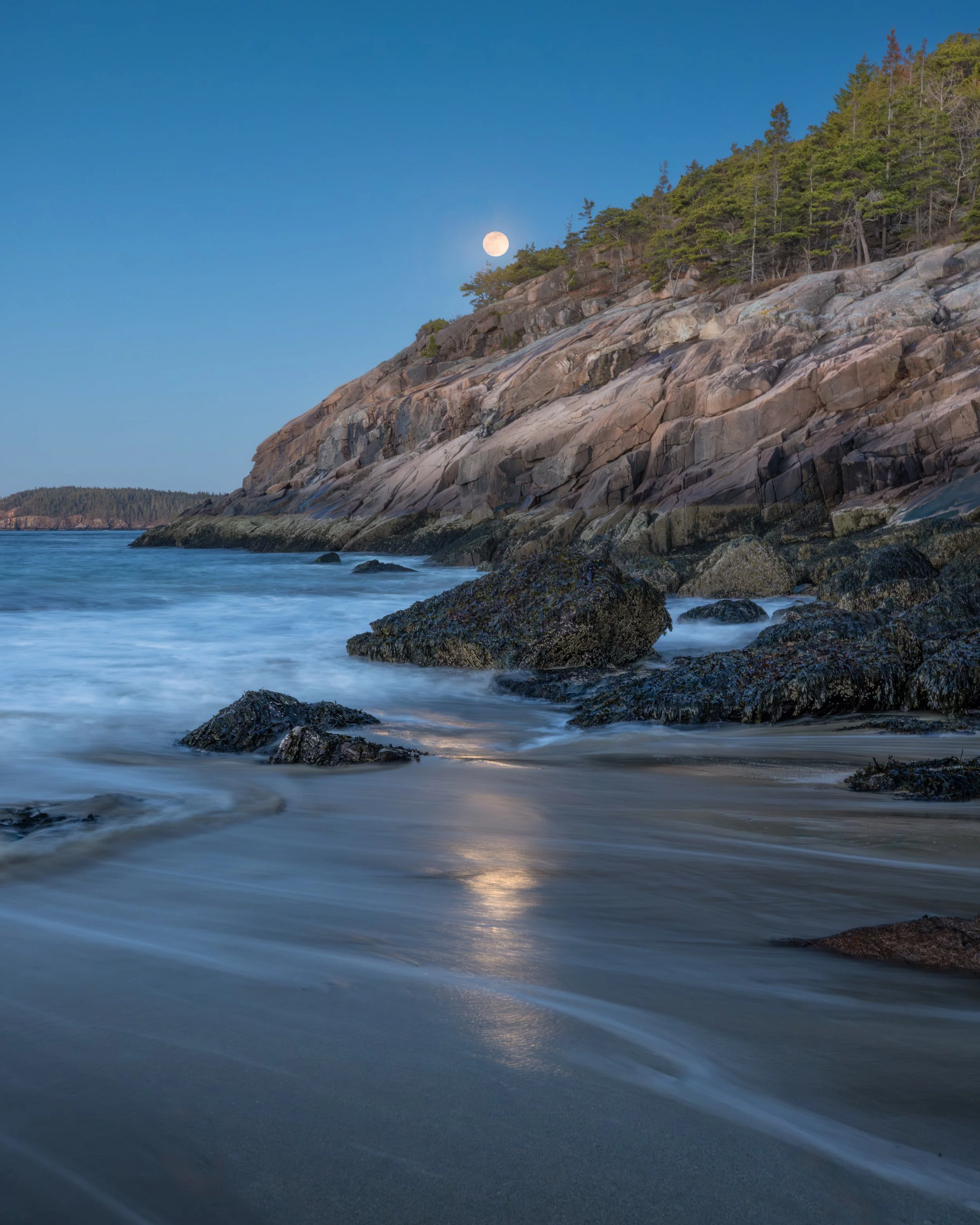 _88A6578-Edit.jpg