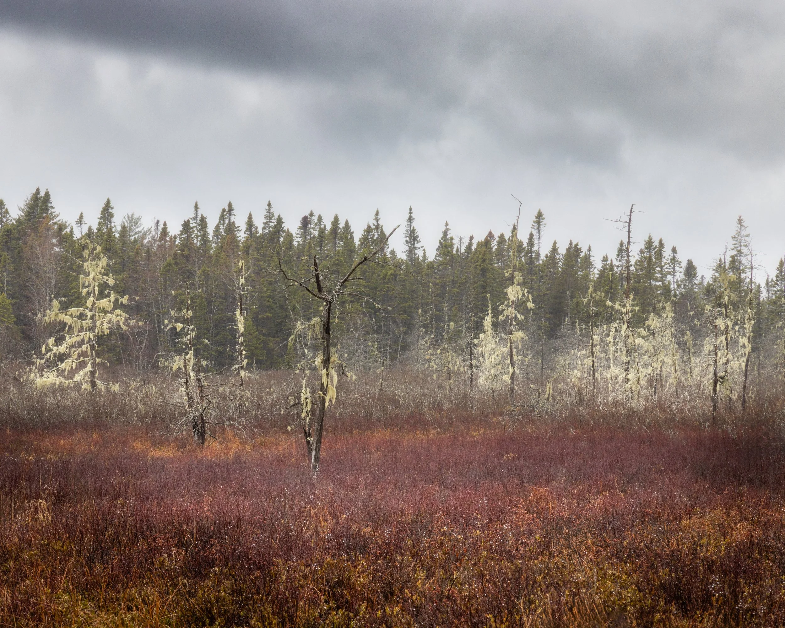 _88A6543-Edit.jpg