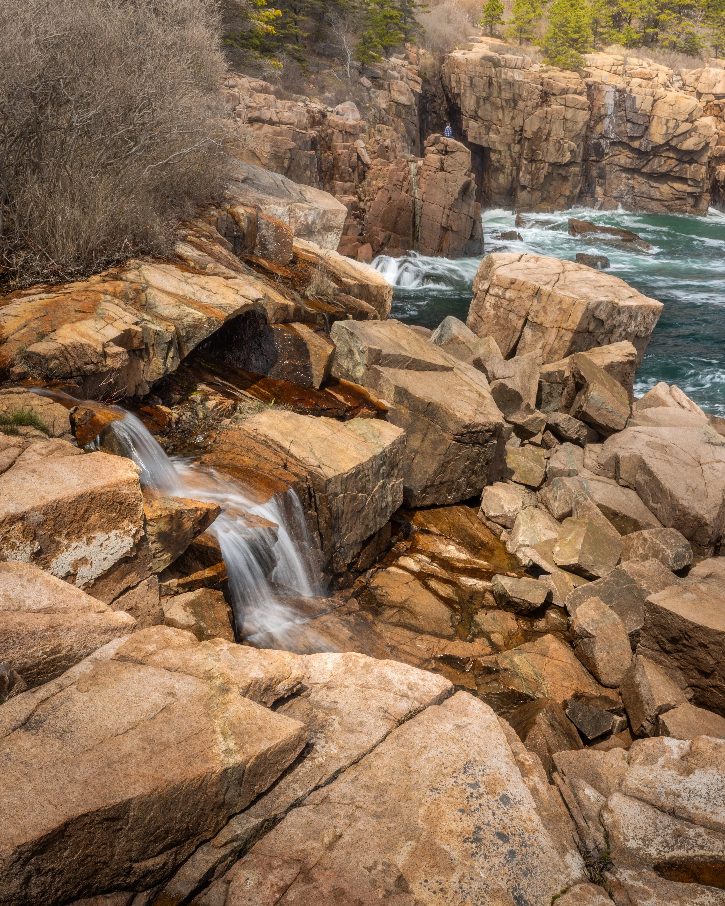 _88A5926-Edit.jpg