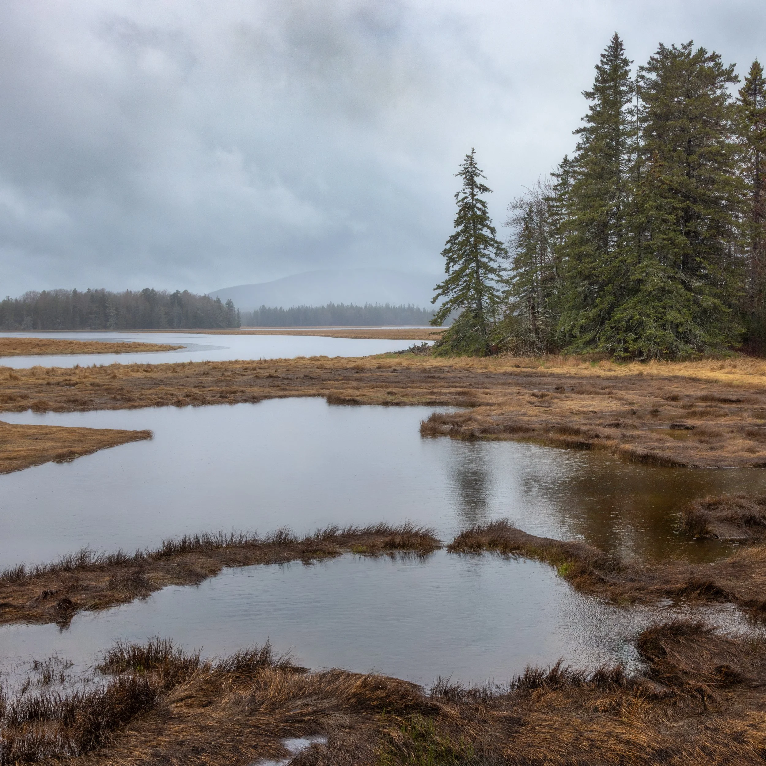 _88A6524-Edit.jpg