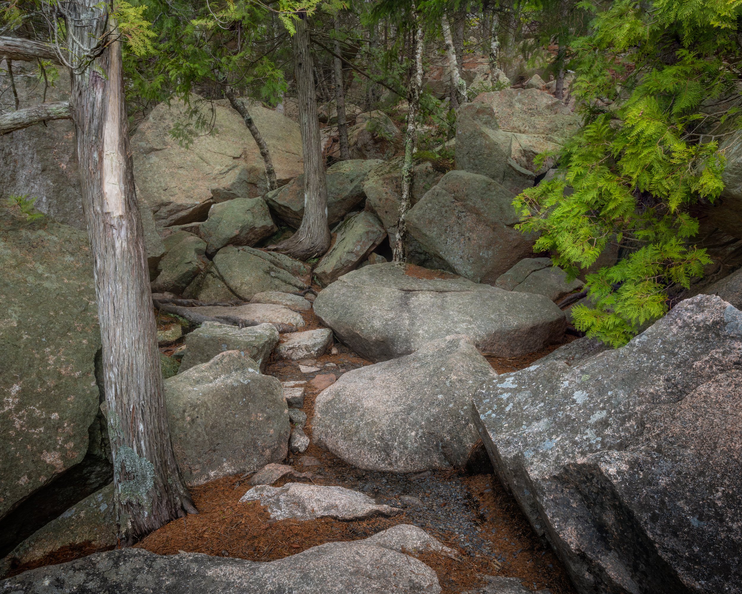 _88A7766-Edit.jpg