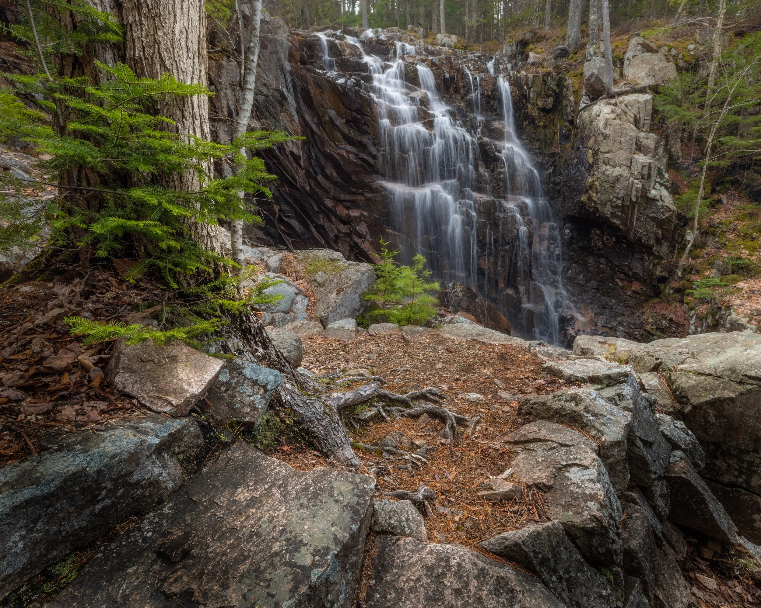 _88A6404-Edit-Edit-Edit.jpg