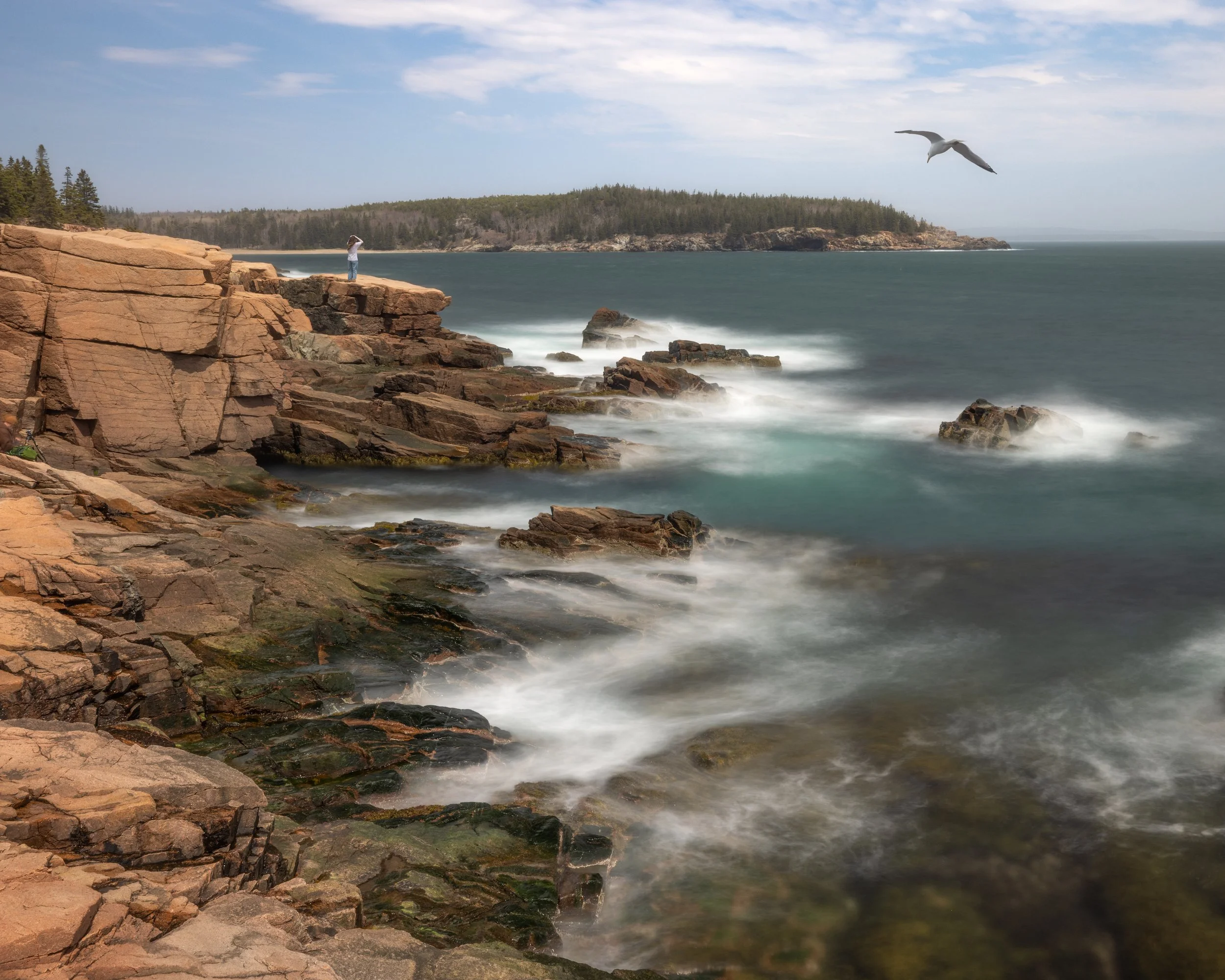 _88A7261-Edit.jpg