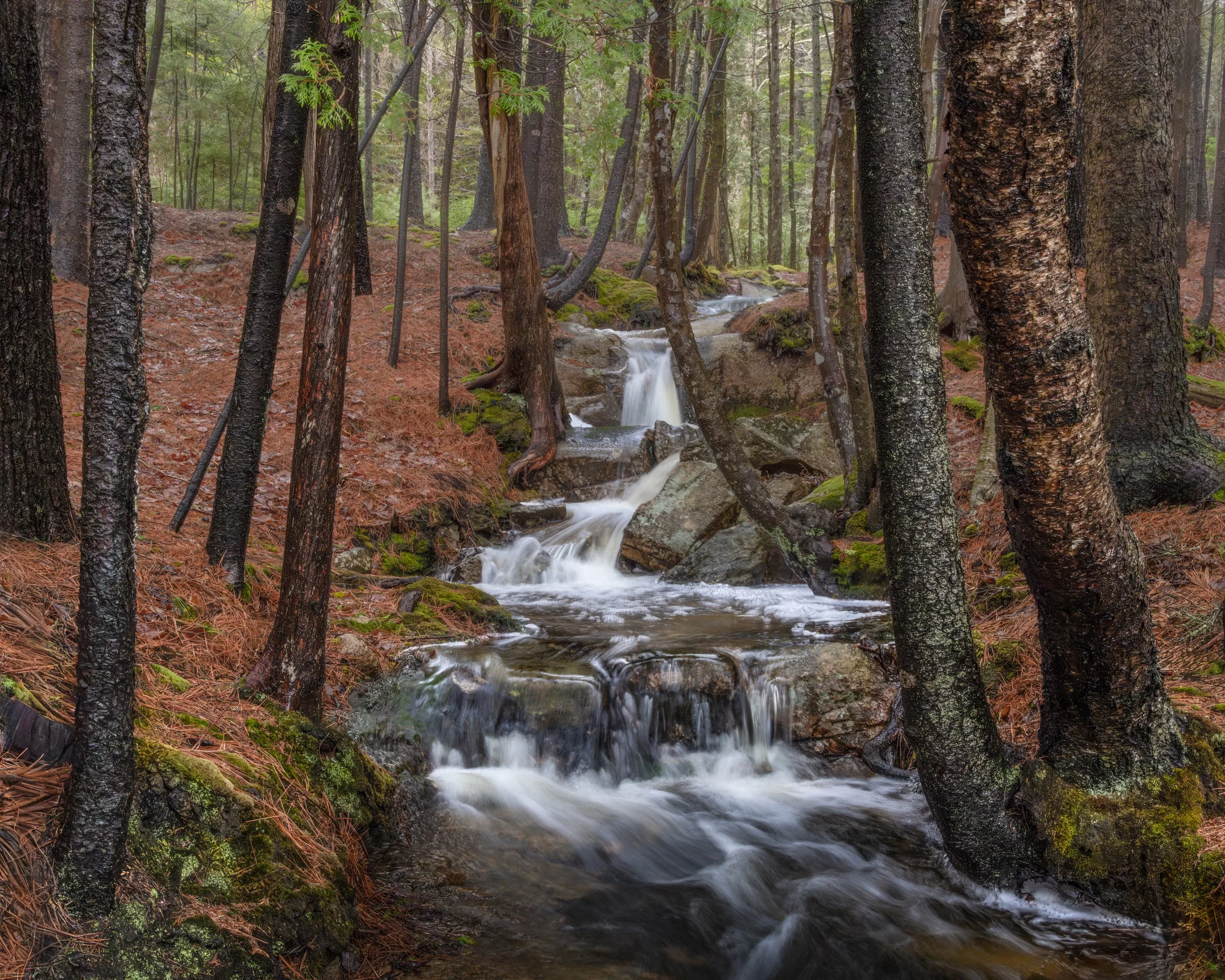 _88A6560-Edit-Edit-Edit.jpg