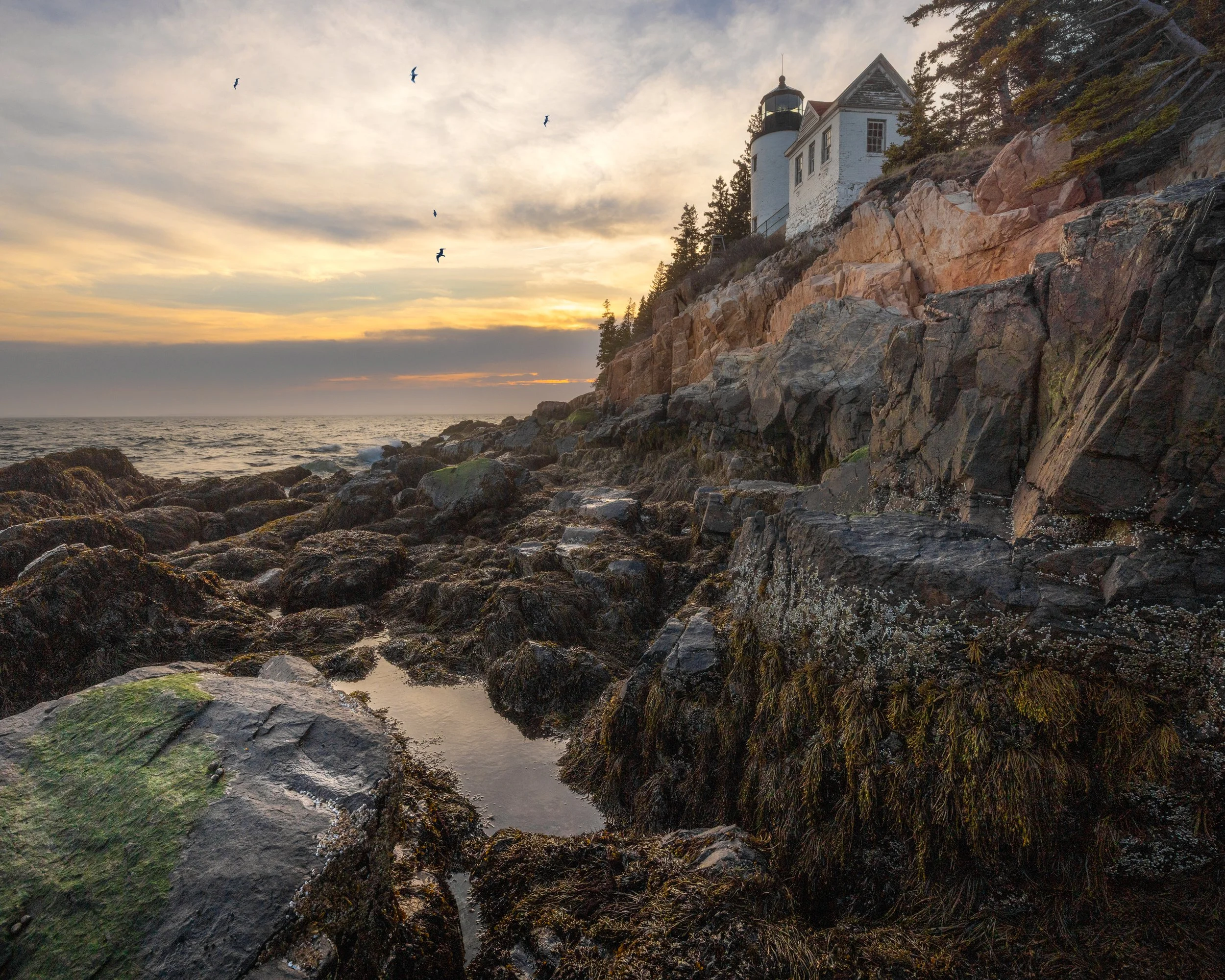 _88A7557-Edit-Edit-Edit.jpg