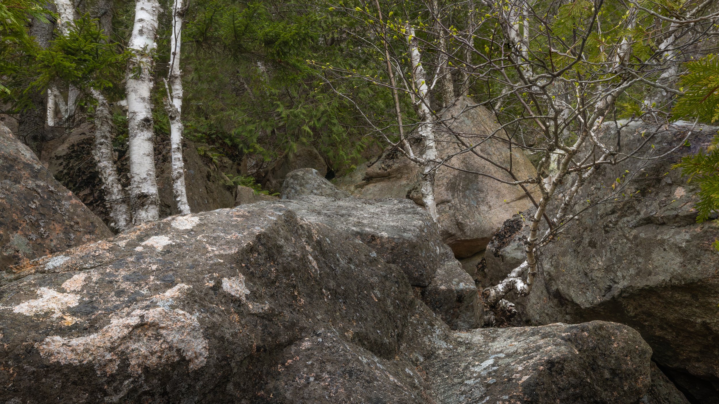 _88A7742-Edit.jpg