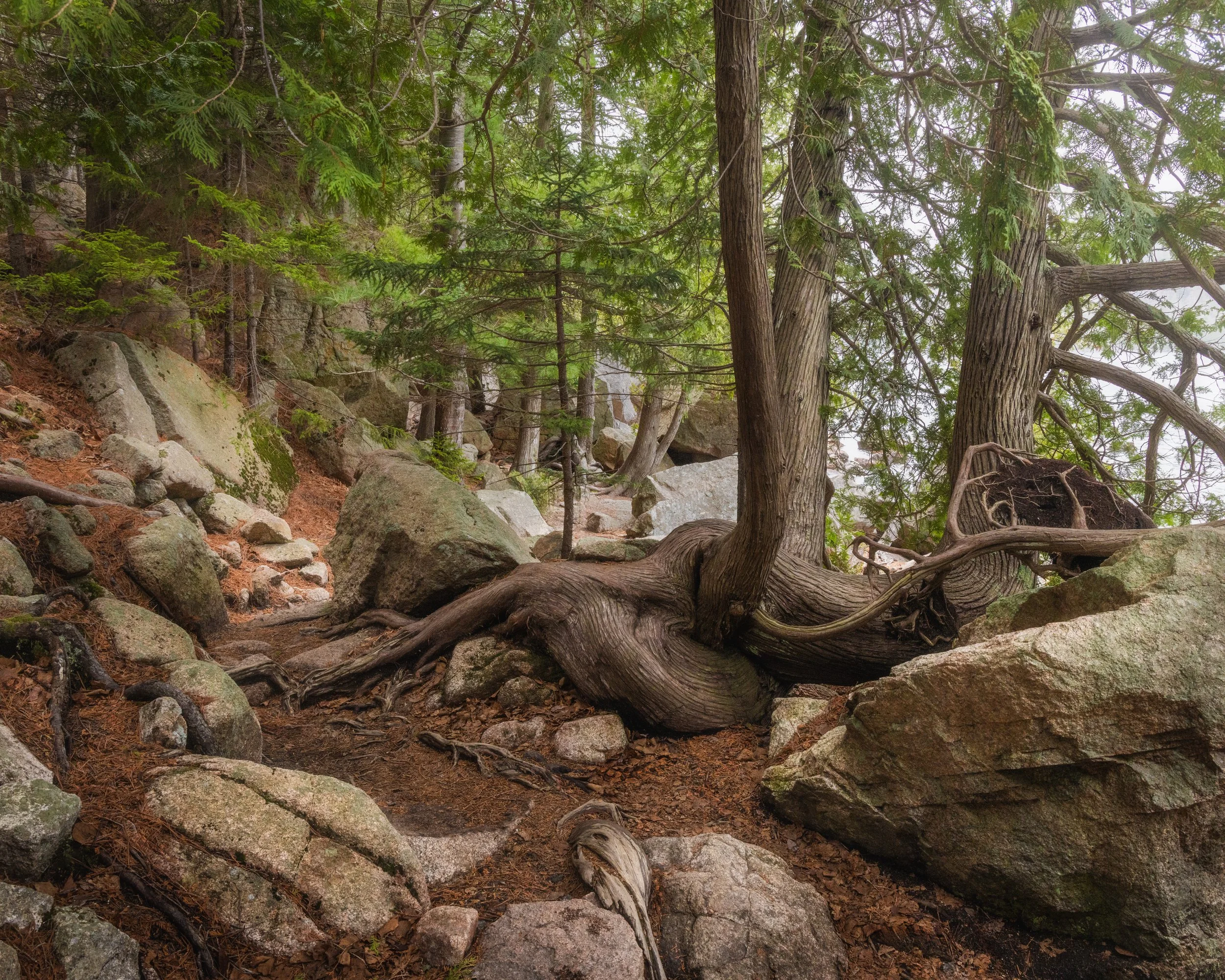 _88A7714-Edit.jpg