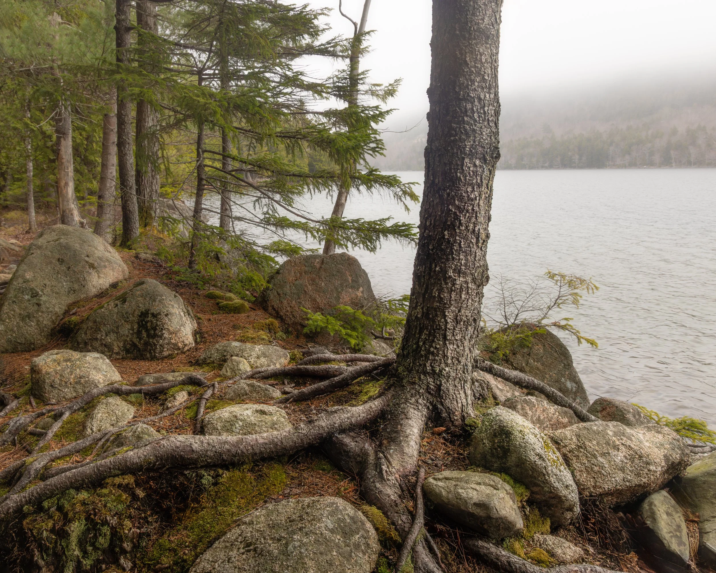 _88A7660-Edit.jpg