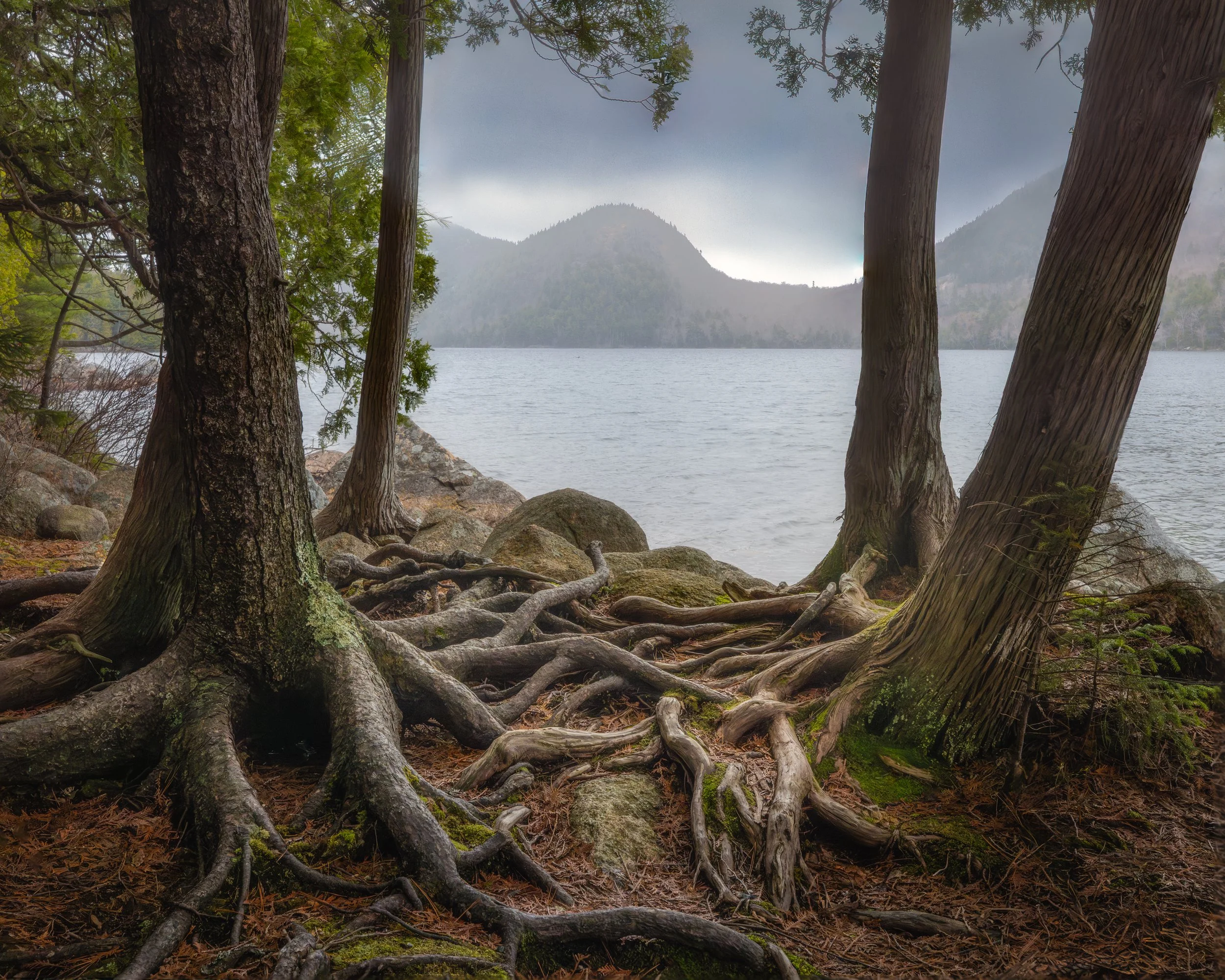 _88A7818-Edit-Edit.jpg