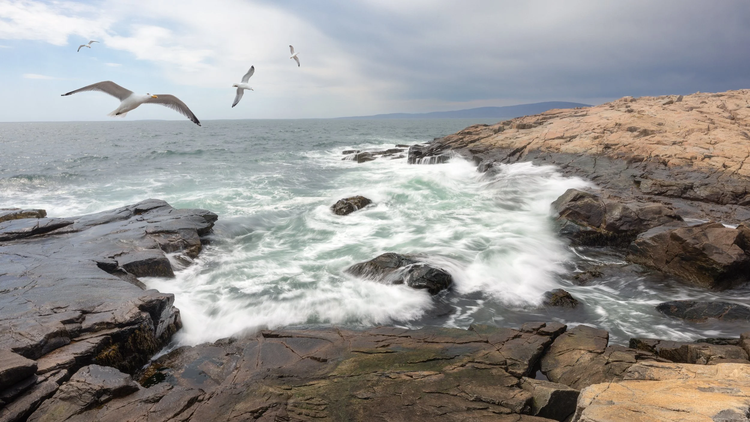 _88A6757-Edit-Edit-Edit.jpg