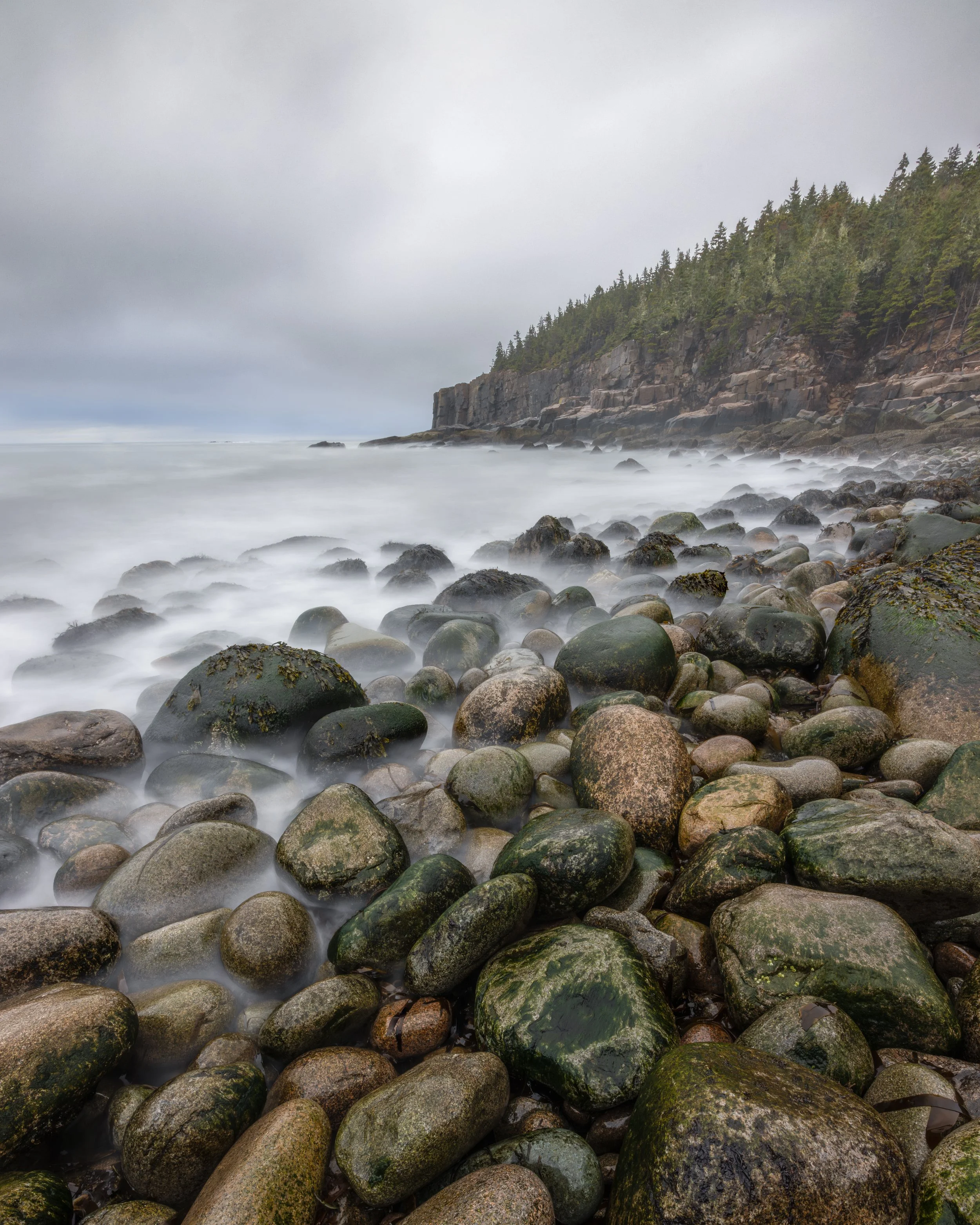 _88A5894-Edit-Edit.jpg