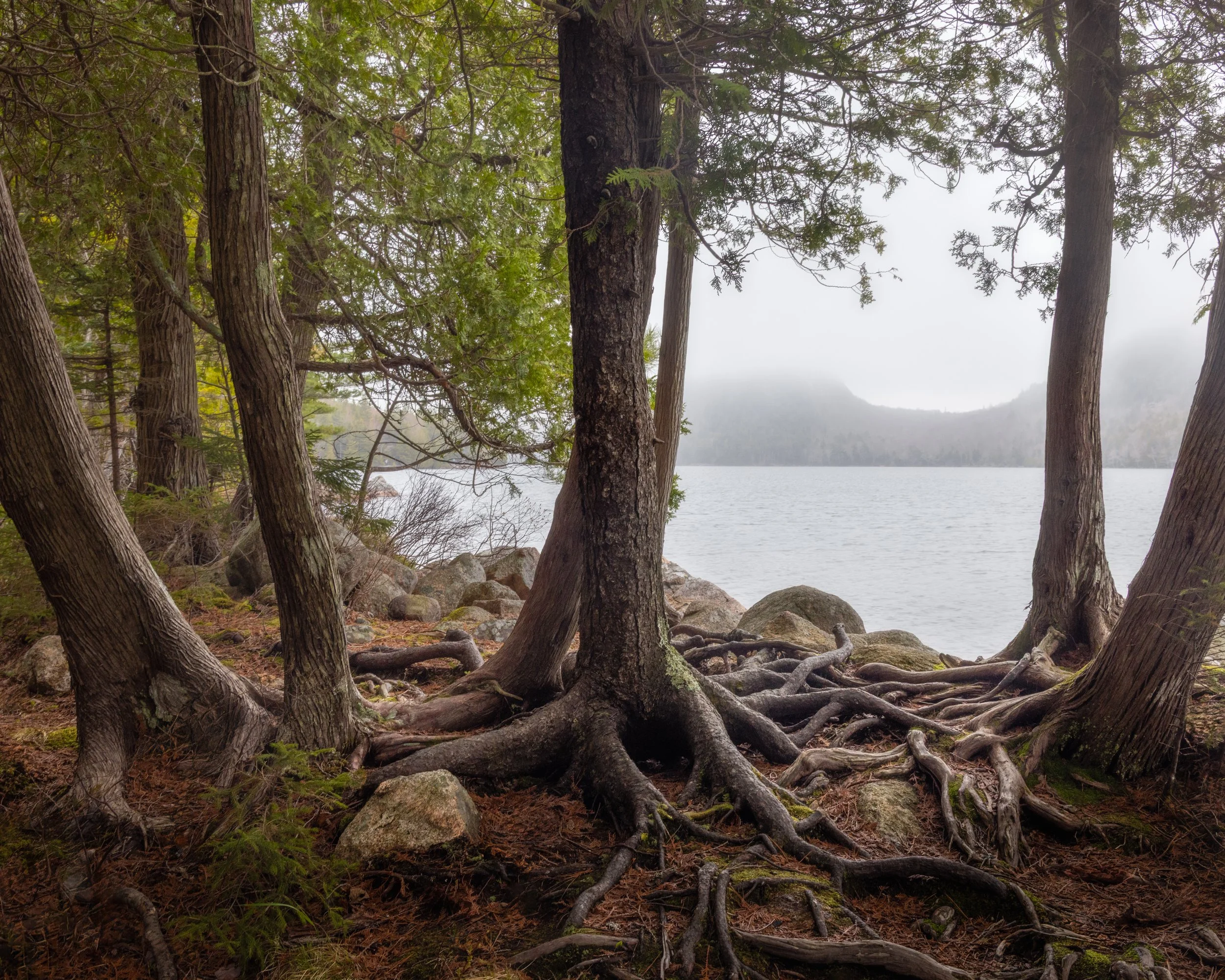 _88A7619-Edit.jpg