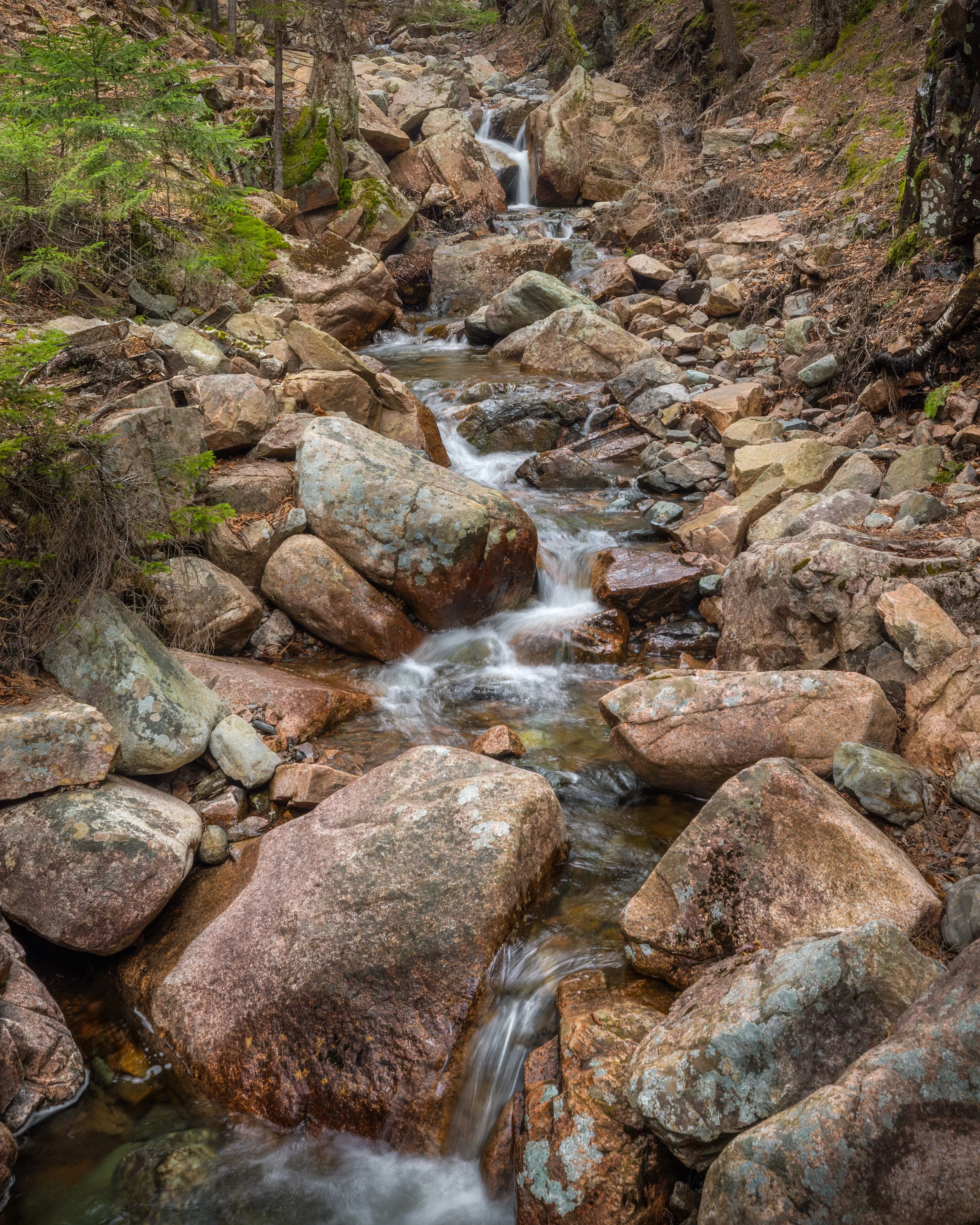 _88A6441-Edit-Edit-Edit.jpg