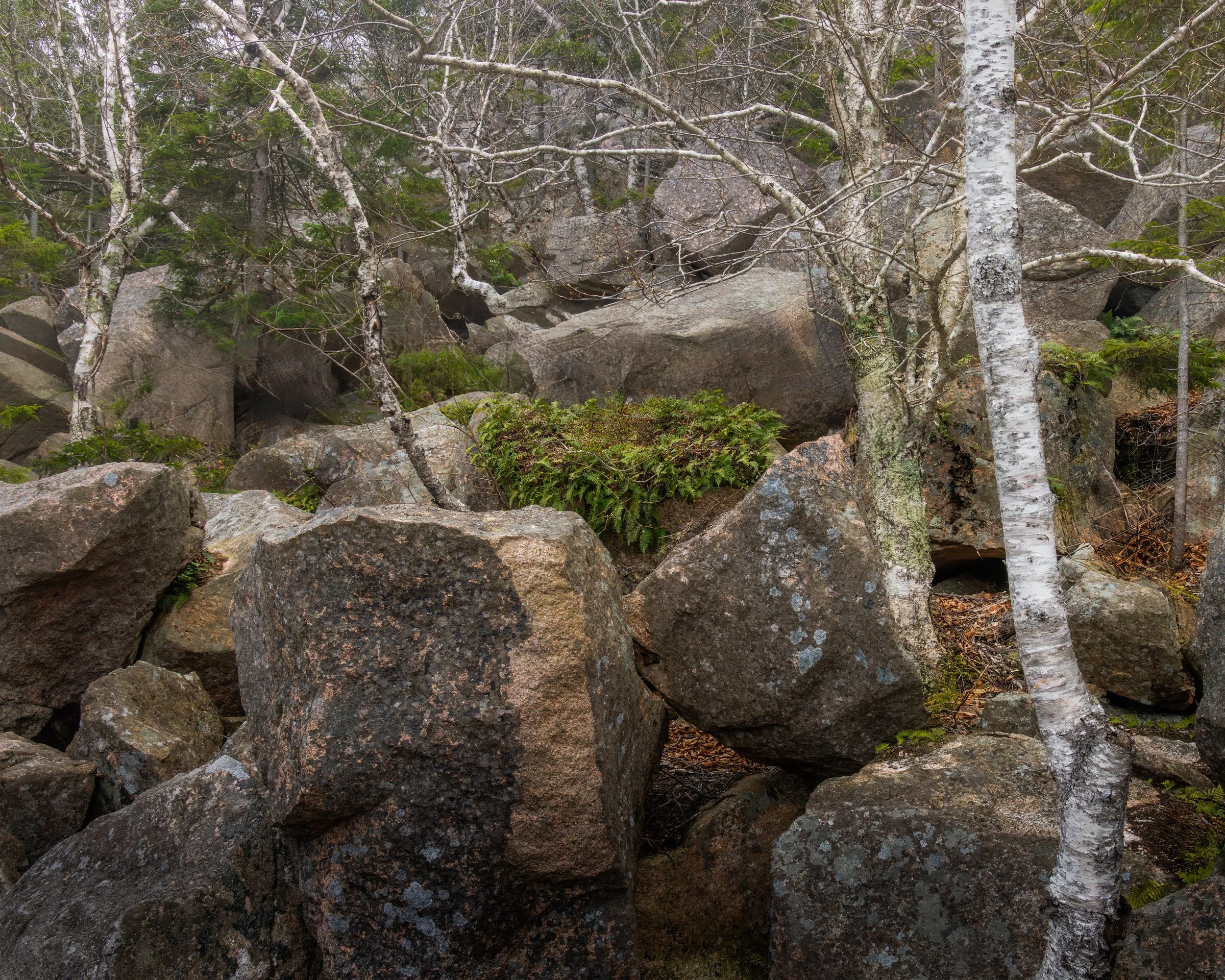 _88A7726-Edit.jpg