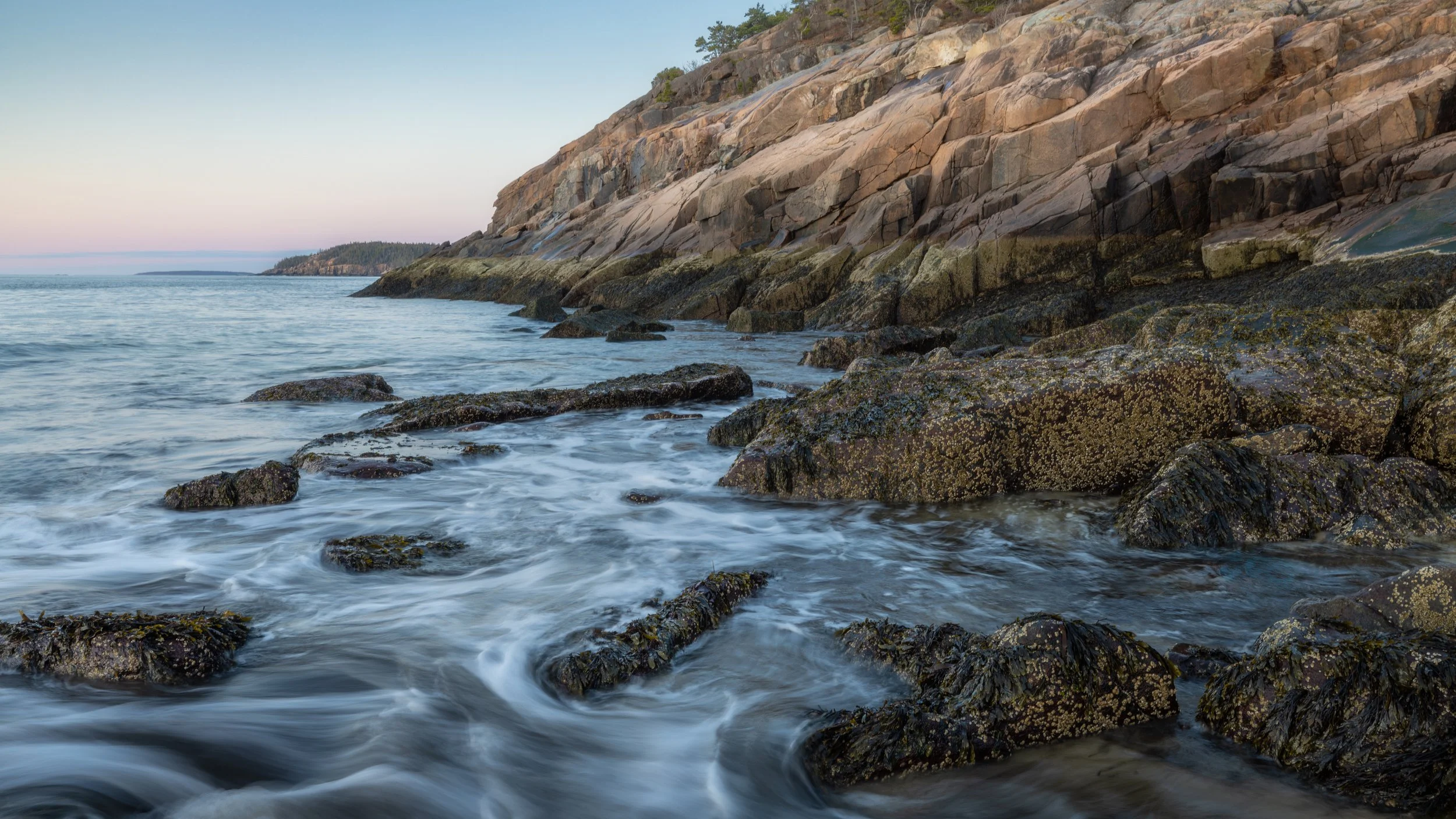 _88A6684-Edit.jpg