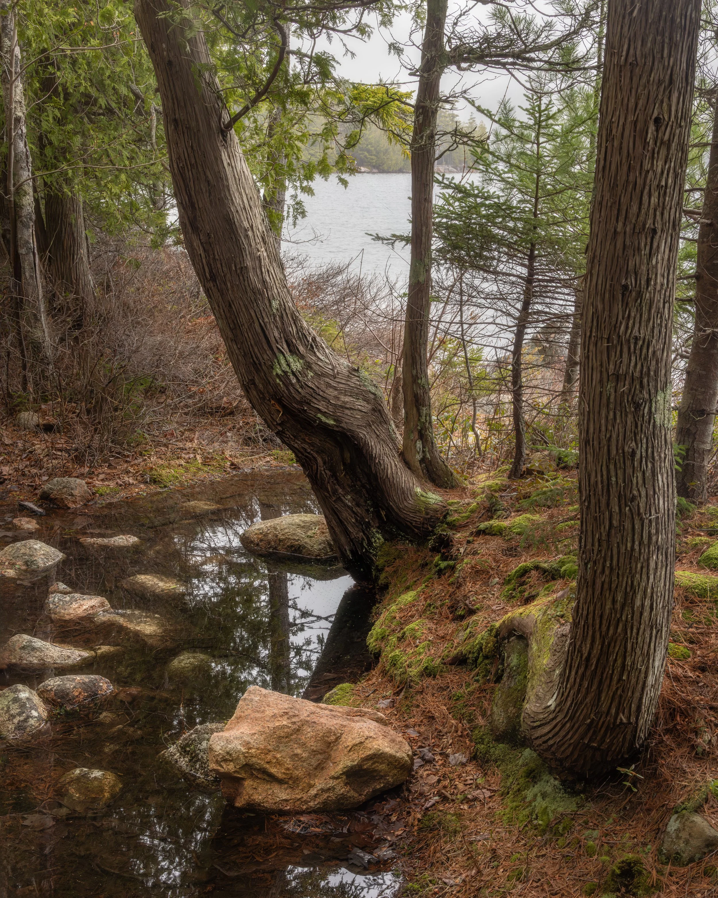 _88A7638-Edit.jpg
